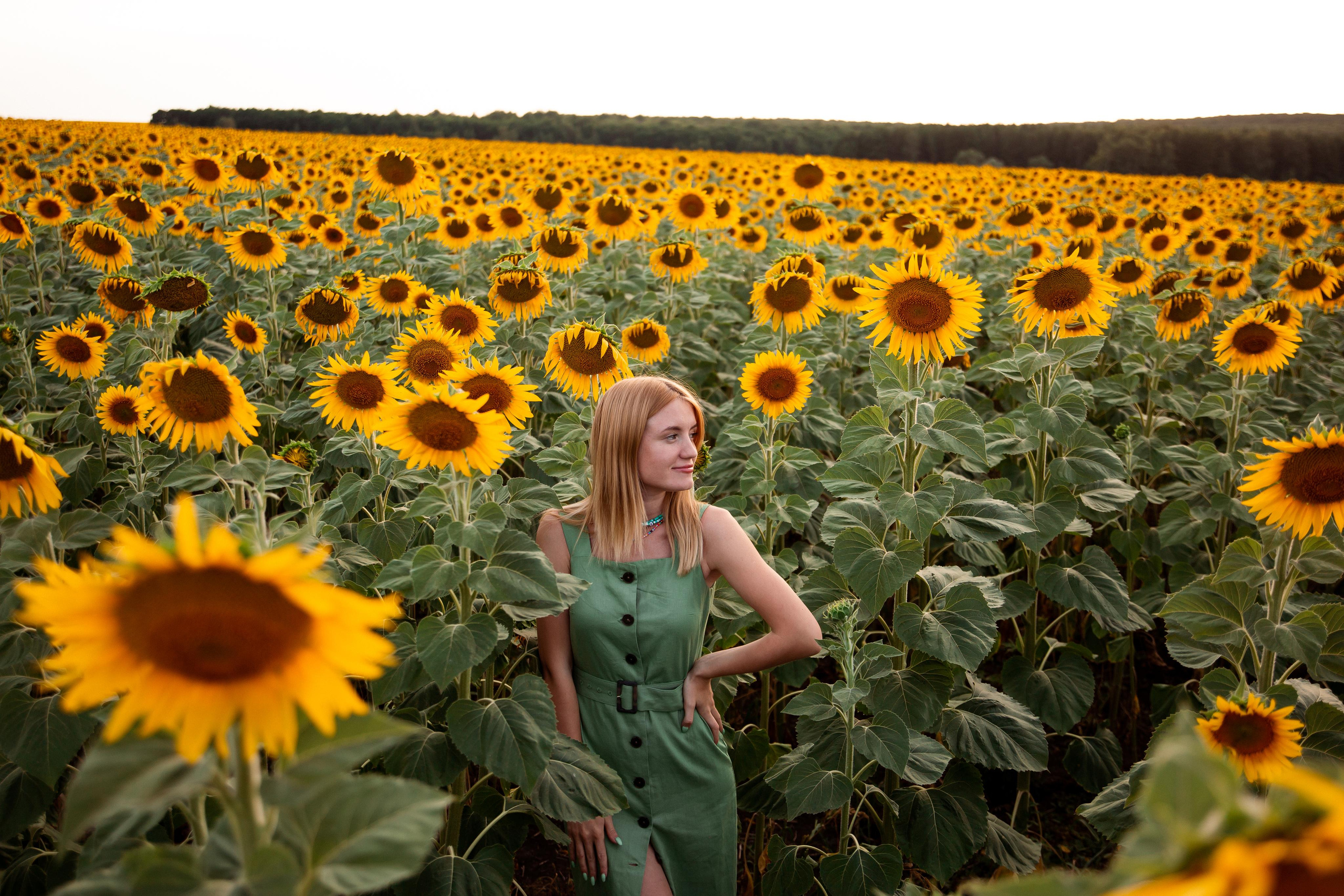 Таня и море подсолнухов. Фотограф Ступино, Коломна, Москва
