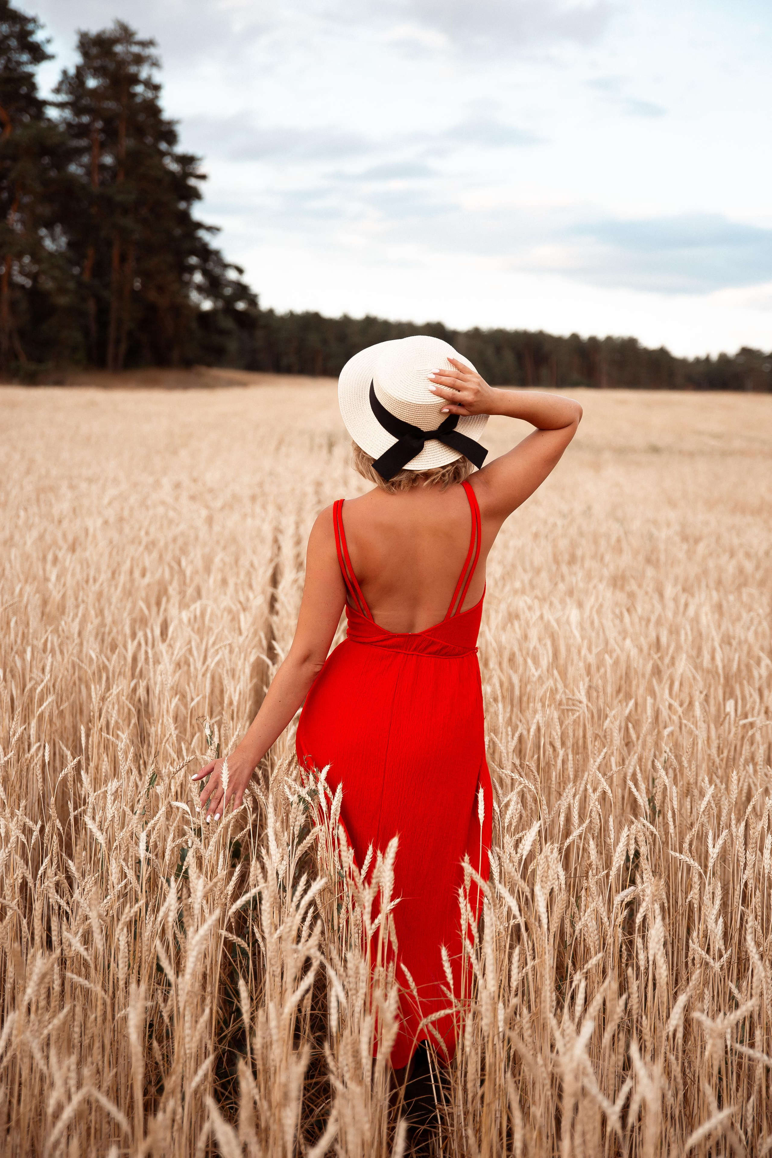 Пшеница. Фотограф Ступино, Коломна, Москва