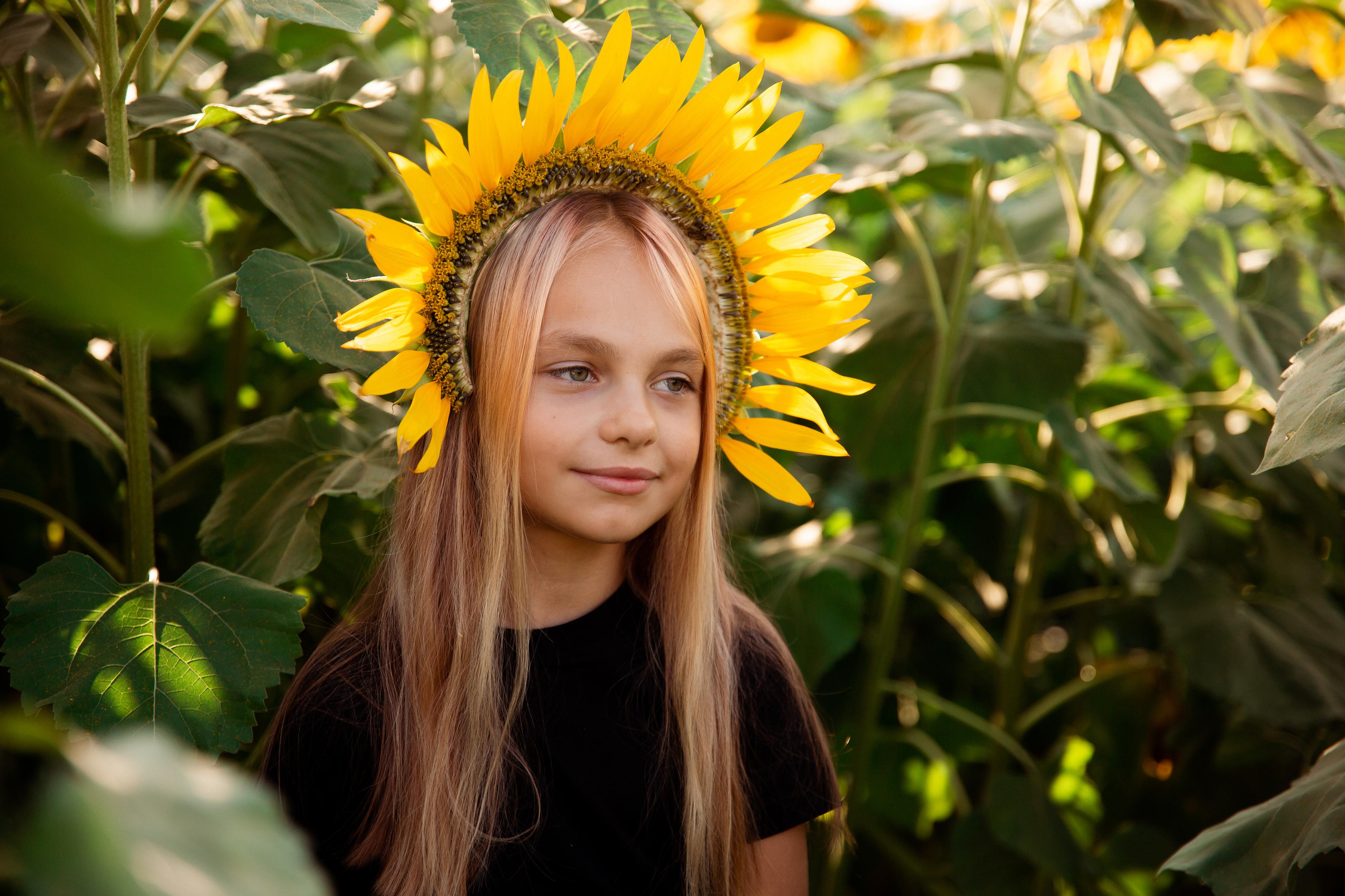 Подсолнухи. Фотограф Ступино, Коломна, Москва