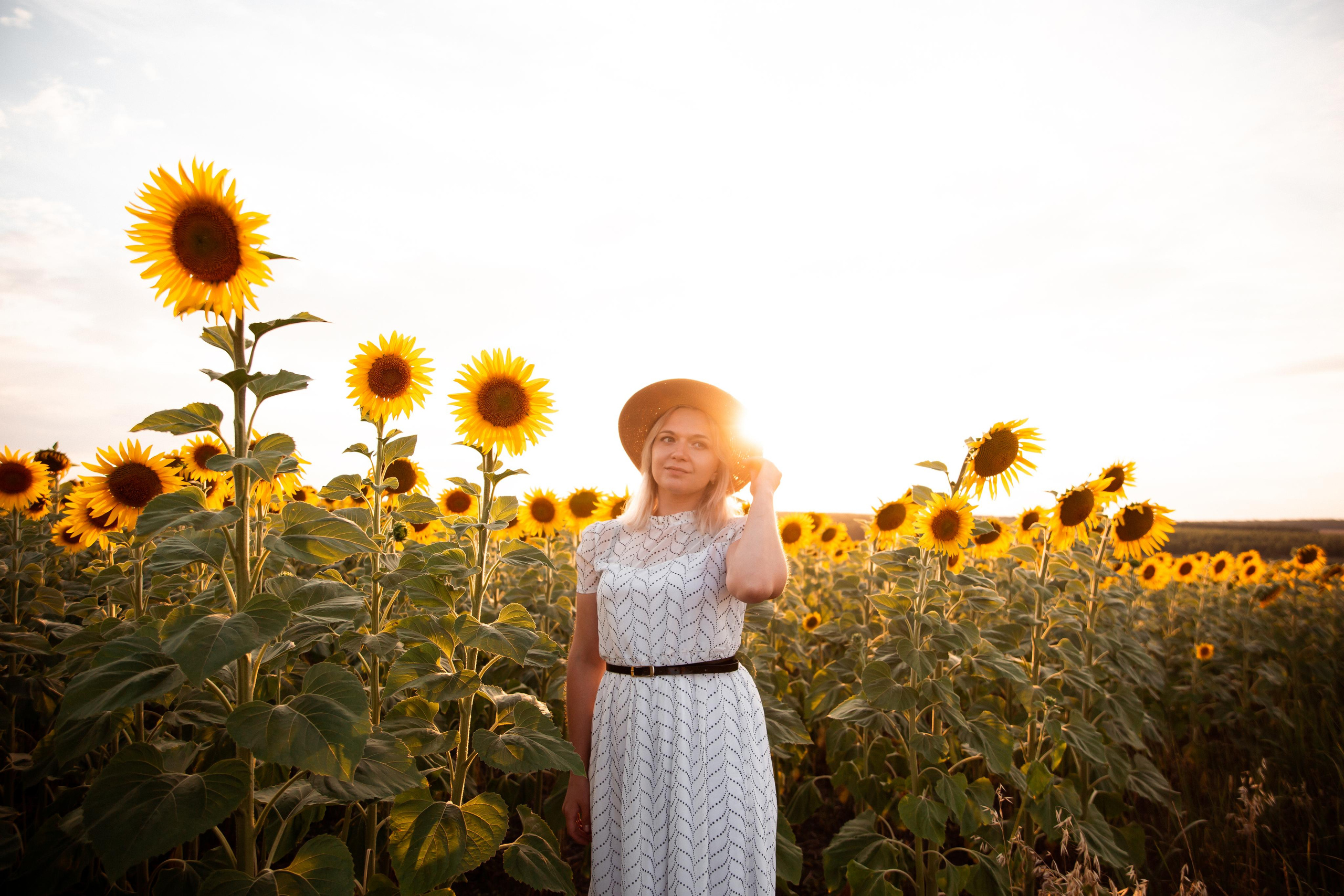 Алена, подсолнухи и закат. Фотограф Ступино, Коломна, Москва