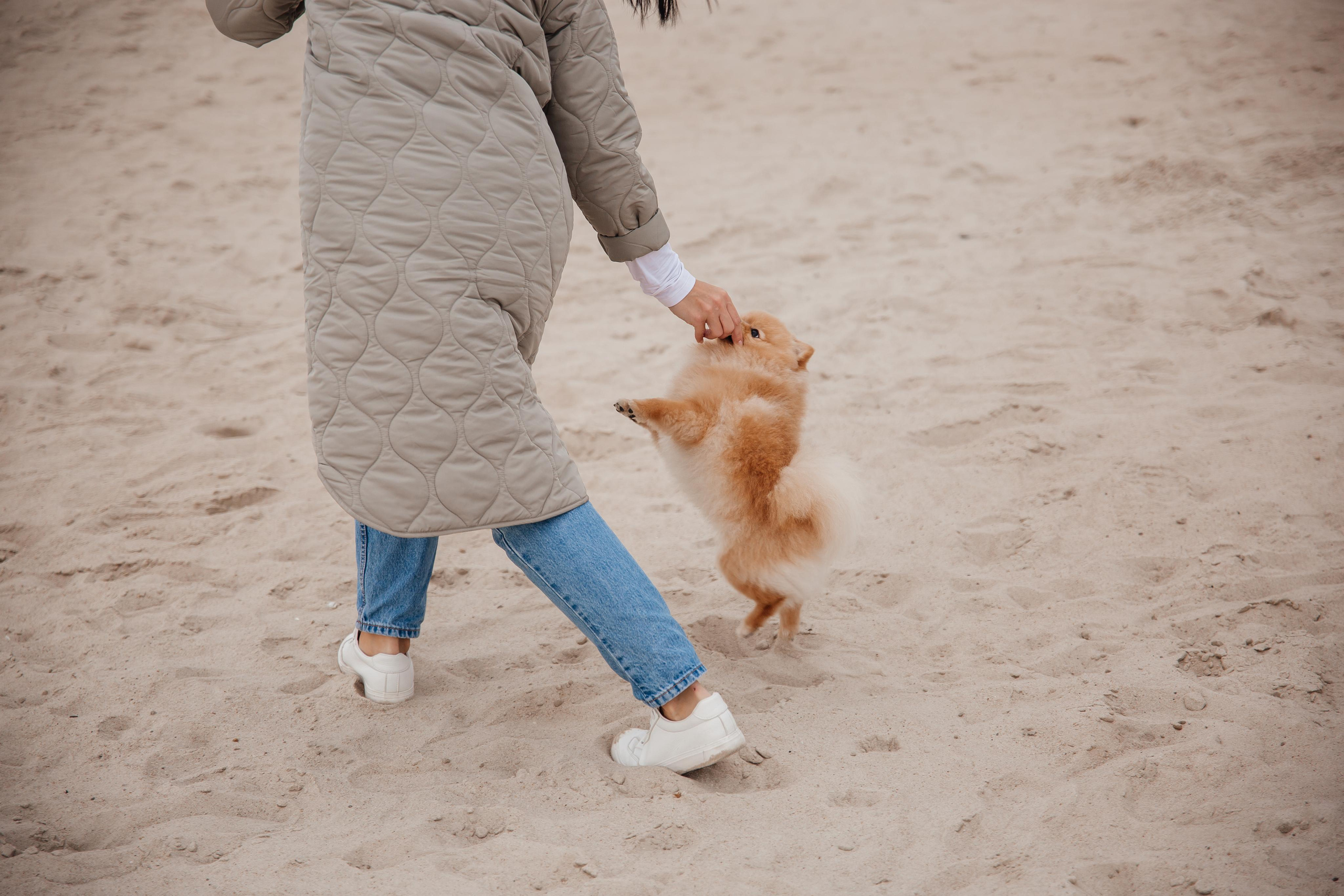 Прогулка по набережной. Фотограф Ступино, Коломна, Москва