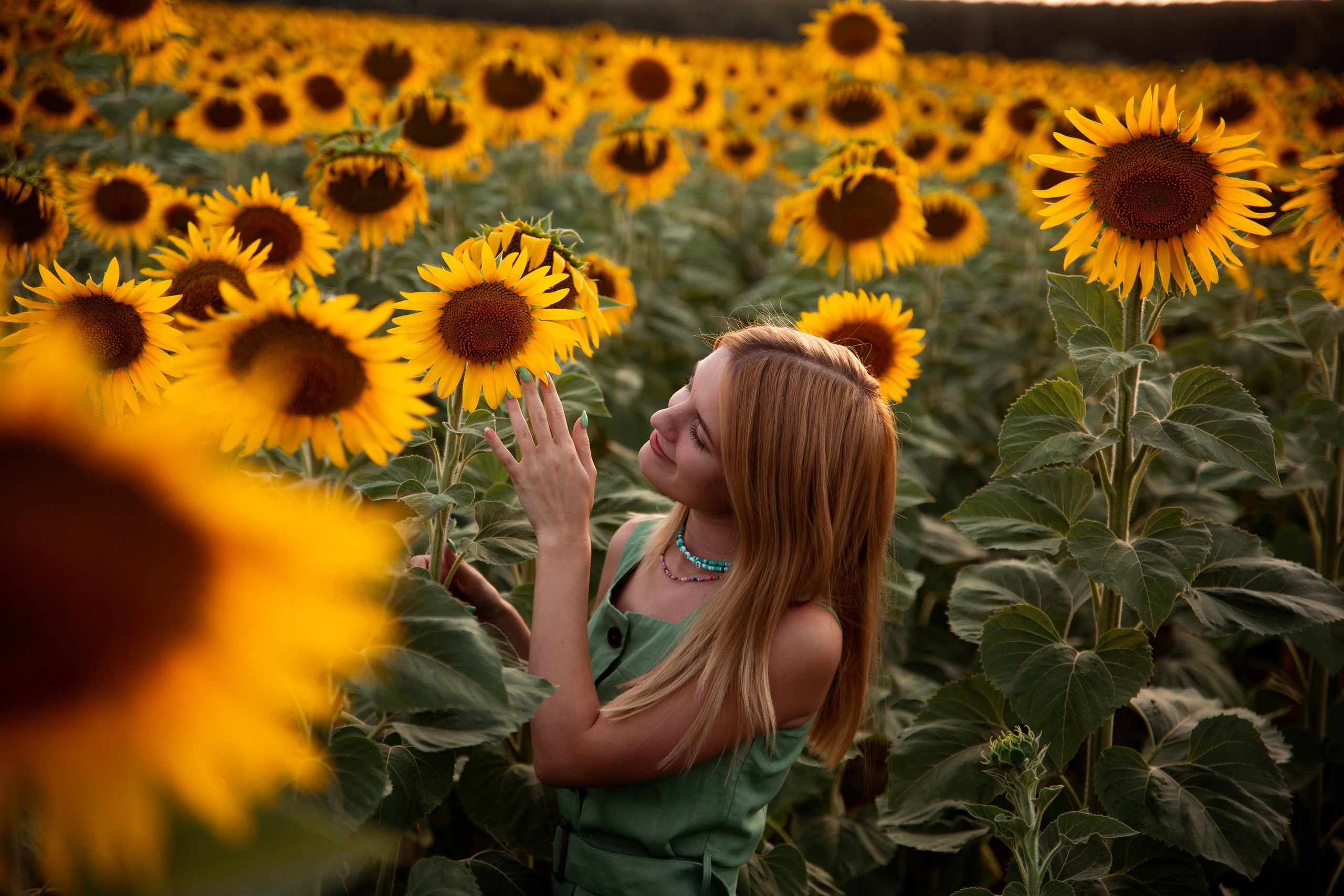 Таня и море подсолнухов. Фотограф Ступино, Коломна, Москва