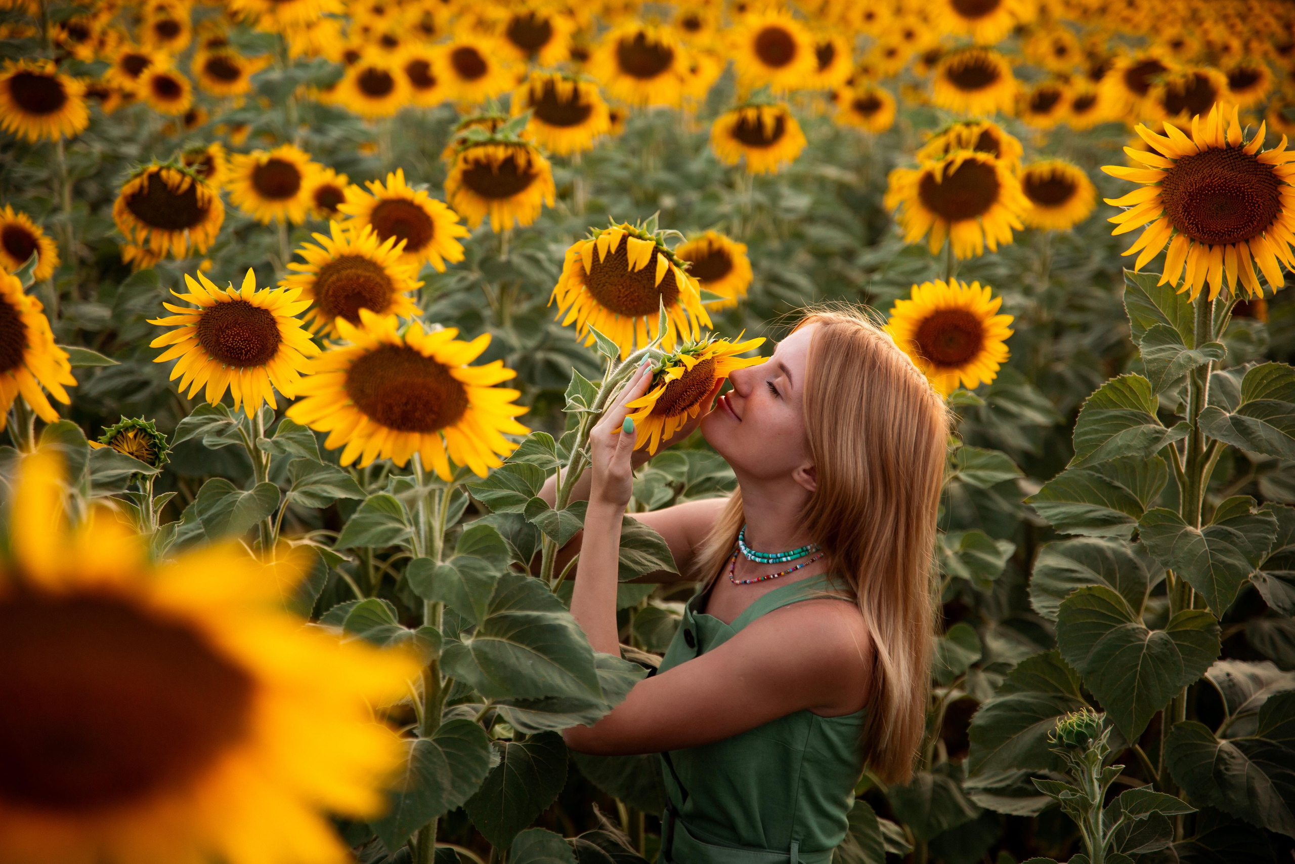 Таня и море подсолнухов. Фотограф Ступино, Коломна, Москва