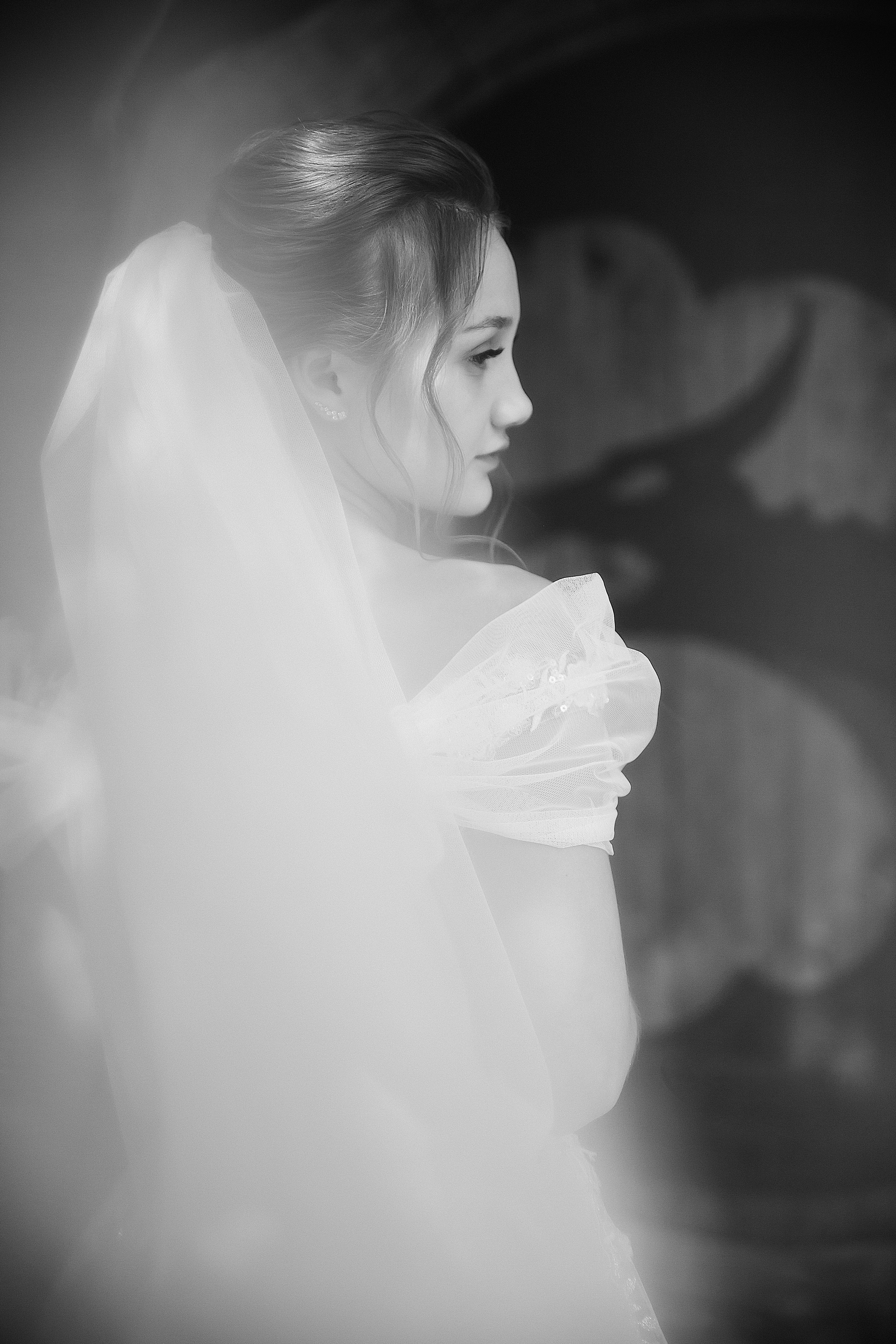 Anton & Julia. Фотограф Ступино, Коломна, Москва