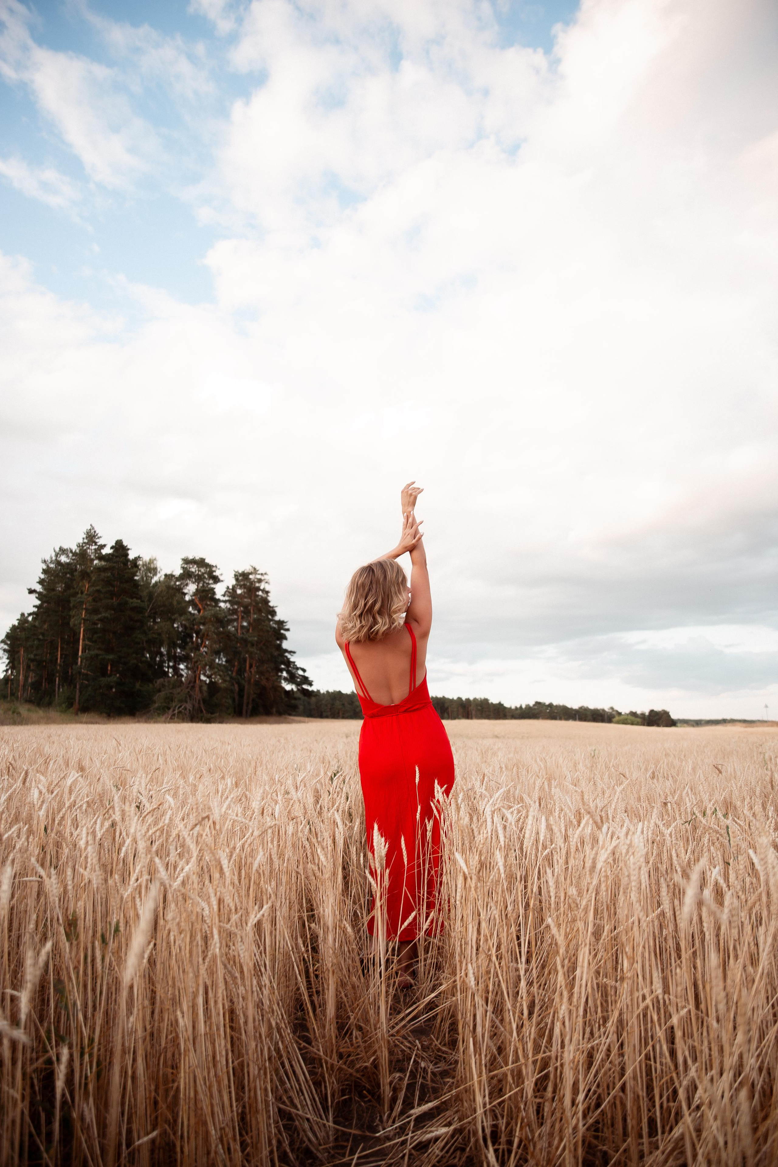 Пшеница. Фотограф Ступино, Коломна, Москва