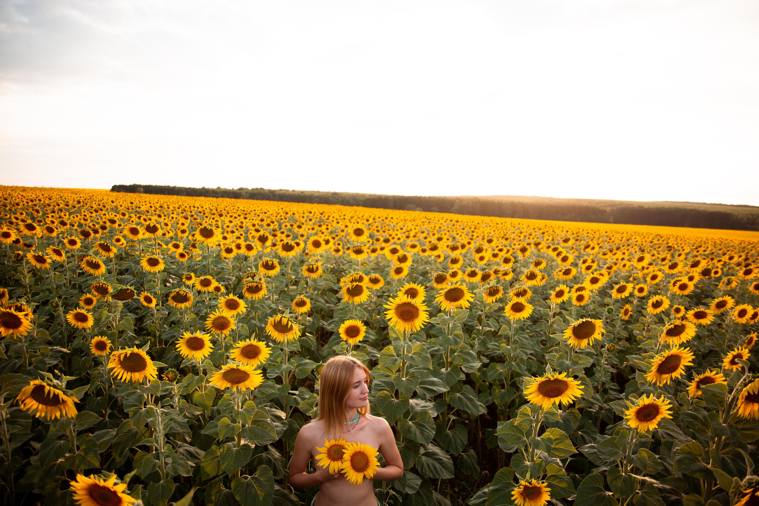 Таня и море подсолнухов. Фотограф Ступино, Коломна, Москва