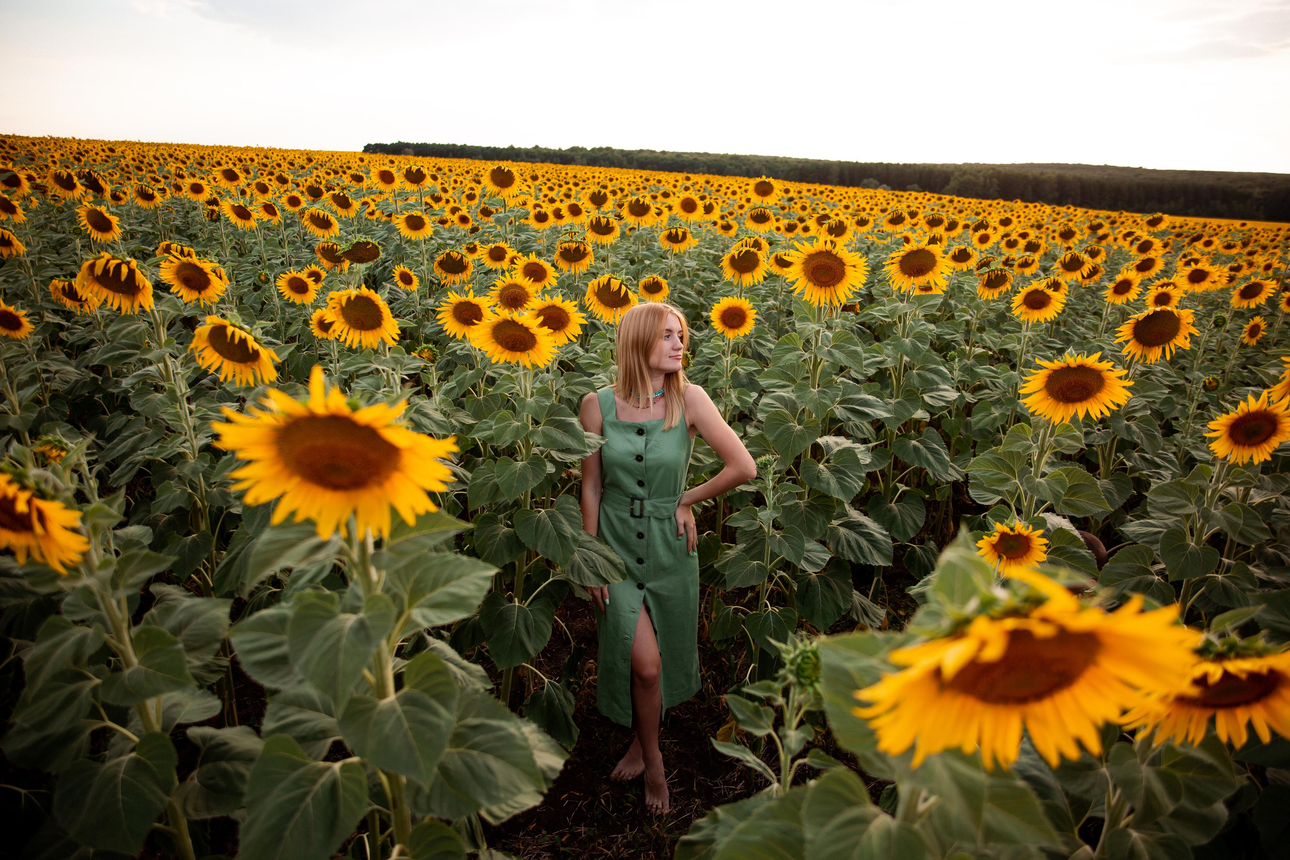 Таня и море подсолнухов. Фотограф Ступино, Коломна, Москва