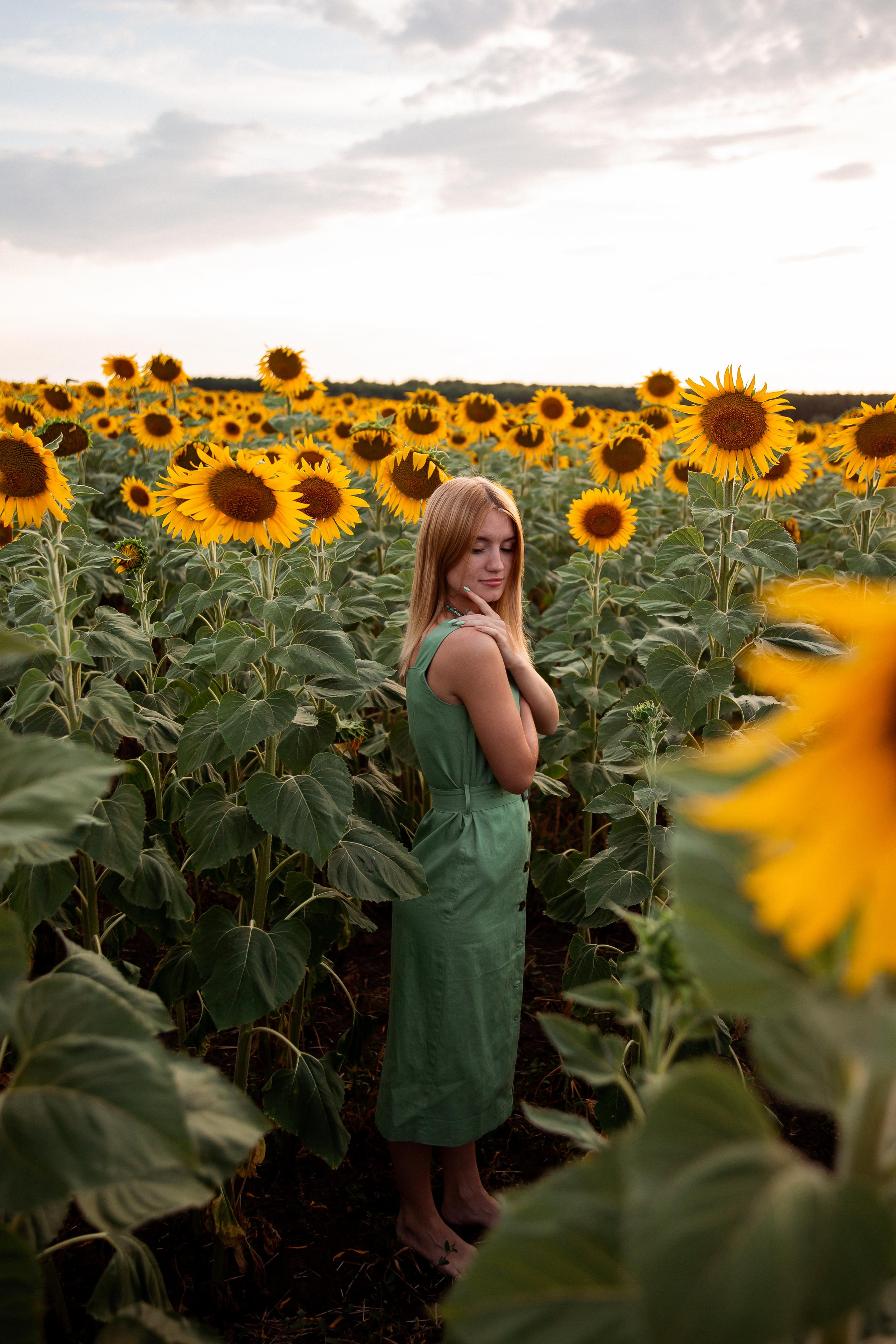 Таня и море подсолнухов. Фотограф Ступино, Коломна, Москва