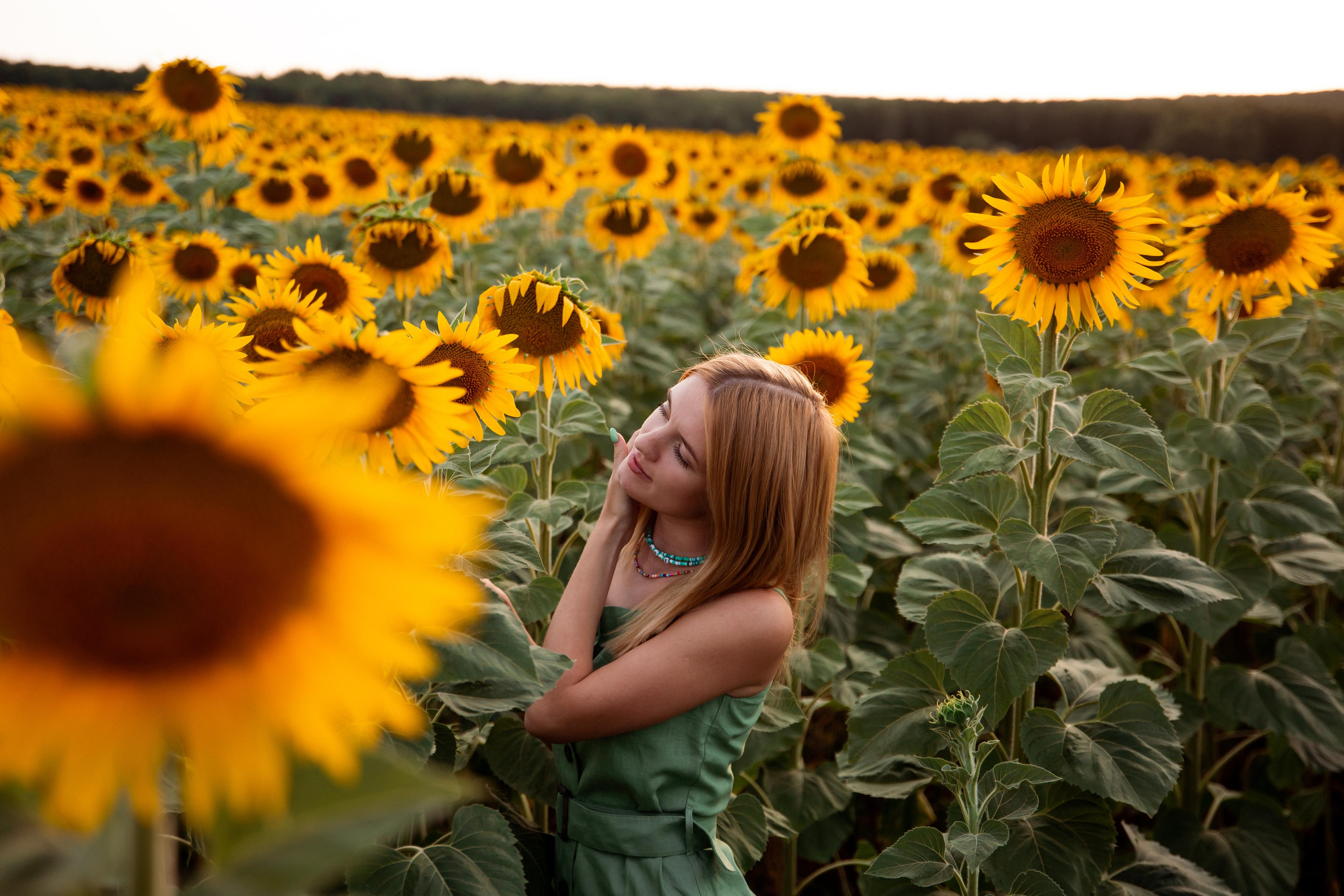 Таня и море подсолнухов. Фотограф Ступино, Коломна, Москва