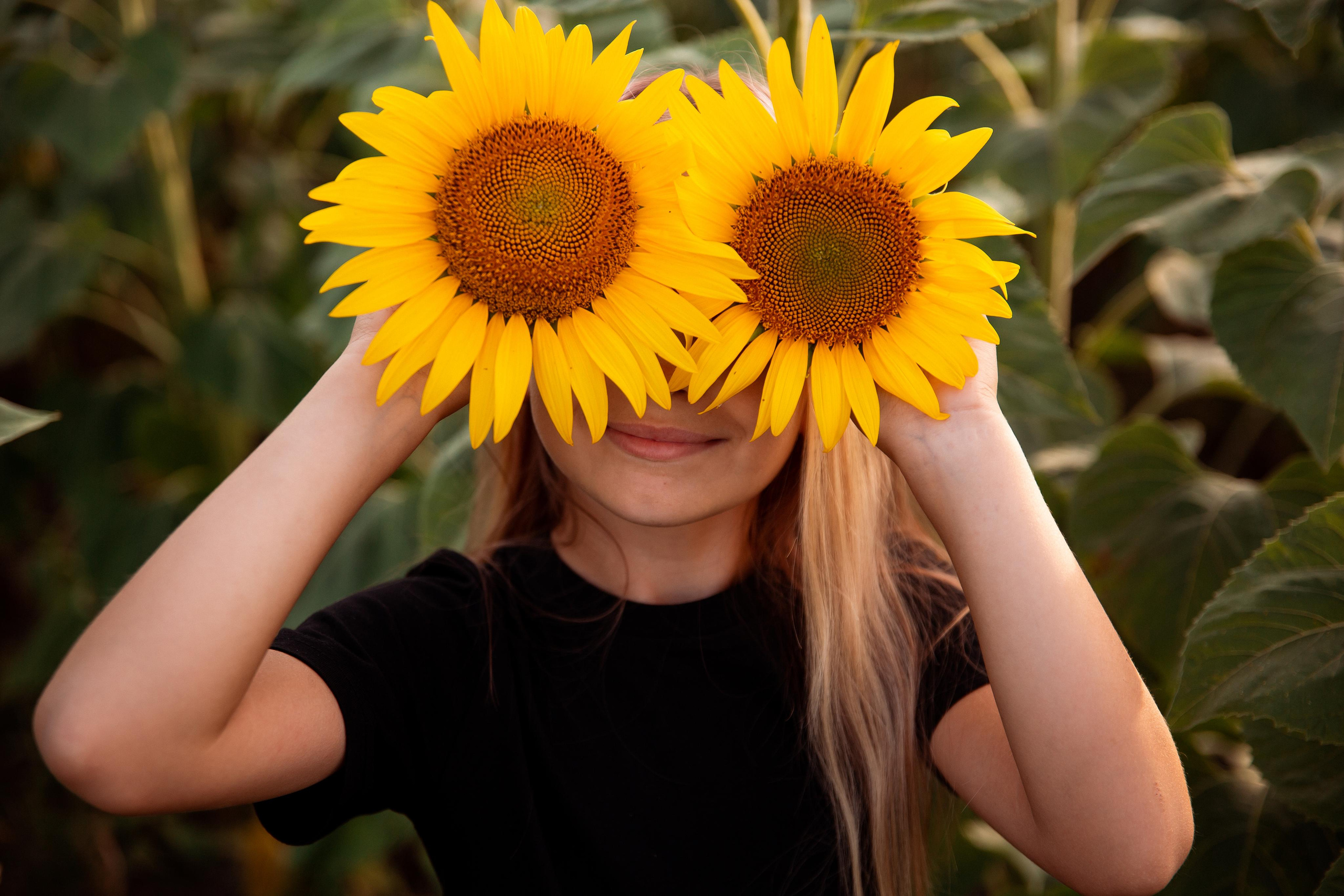 Подсолнухи. Фотограф Ступино, Коломна, Москва
