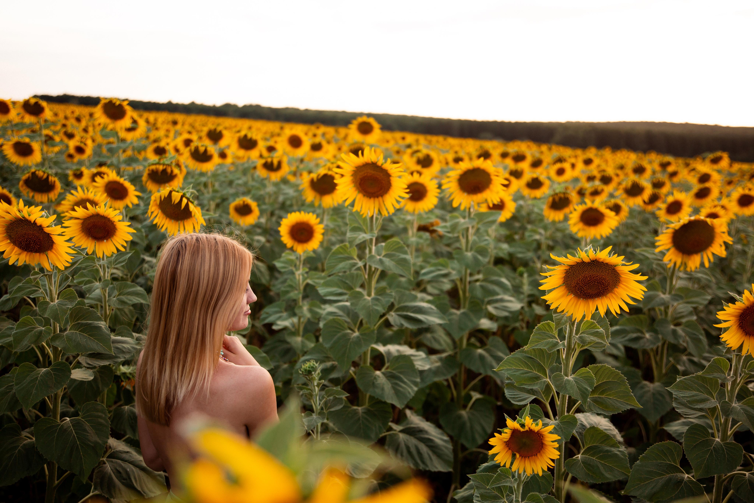 Таня и море подсолнухов. Фотограф Ступино, Коломна, Москва