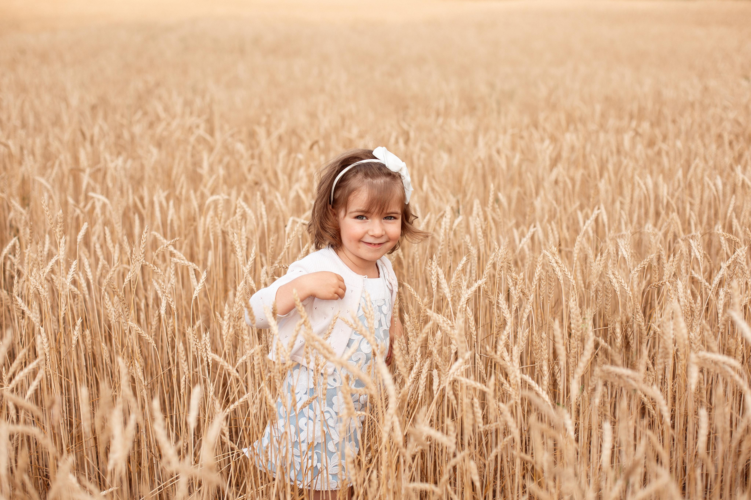 Пшеница. Фотограф Ступино, Коломна, Москва