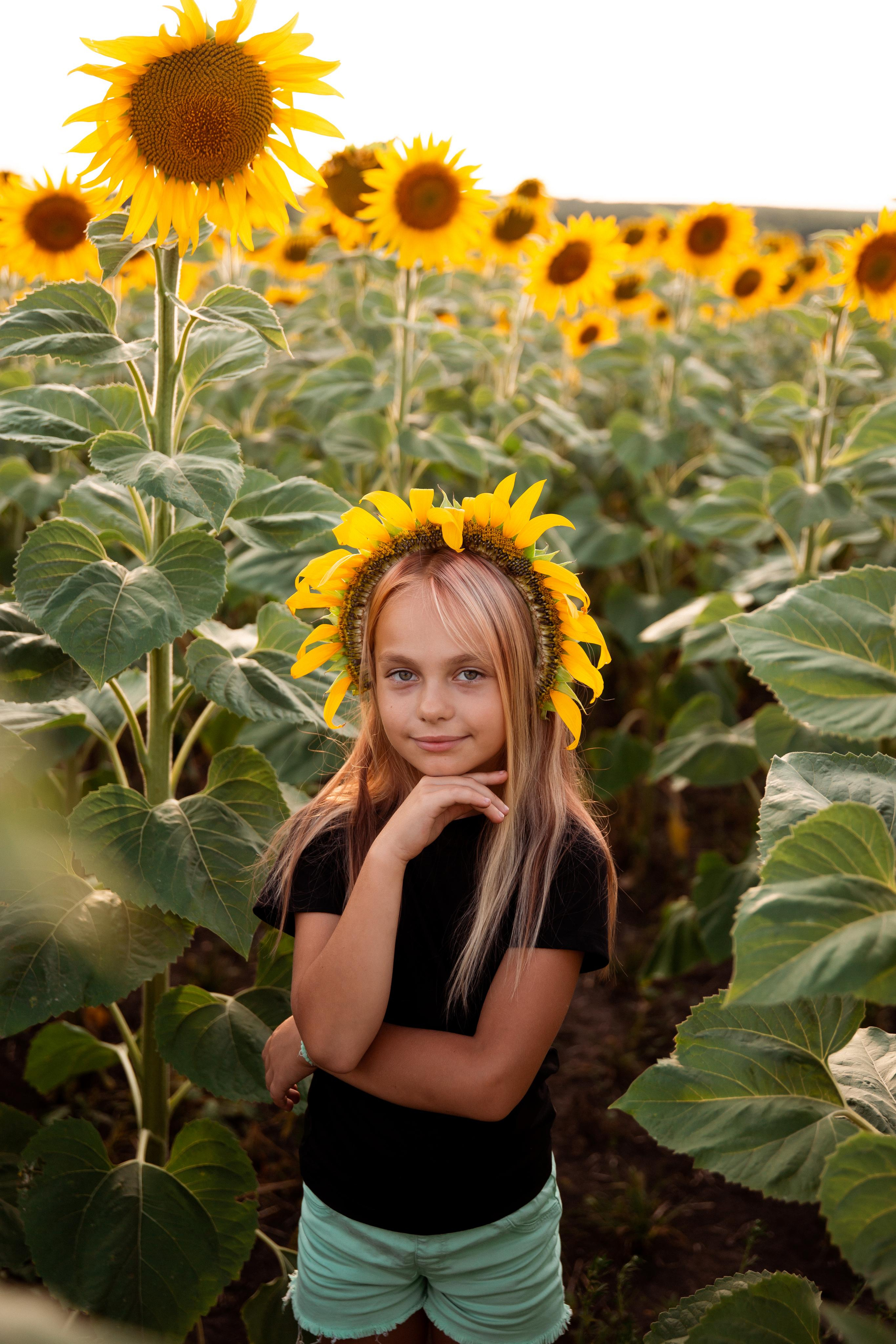 Подсолнухи. Фотограф Ступино, Коломна, Москва