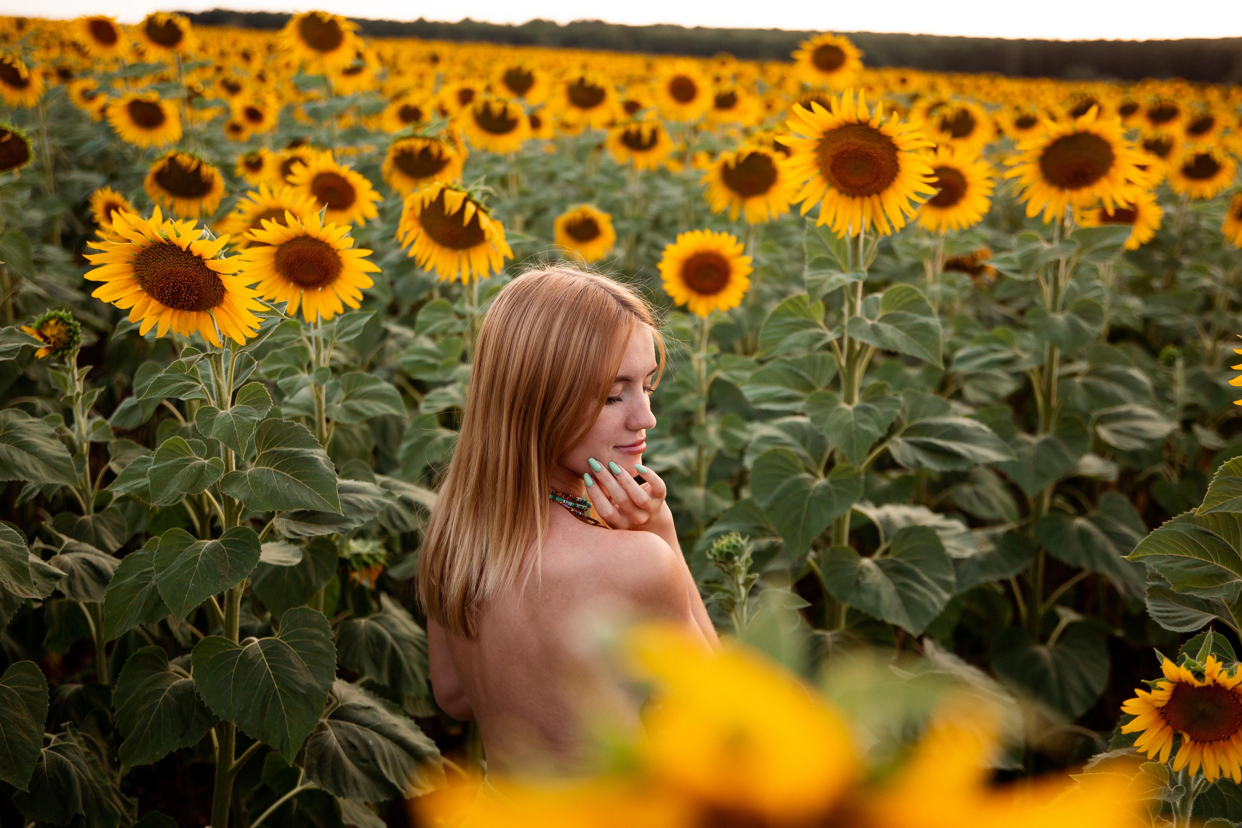 Таня и море подсолнухов. Фотограф Ступино, Коломна, Москва