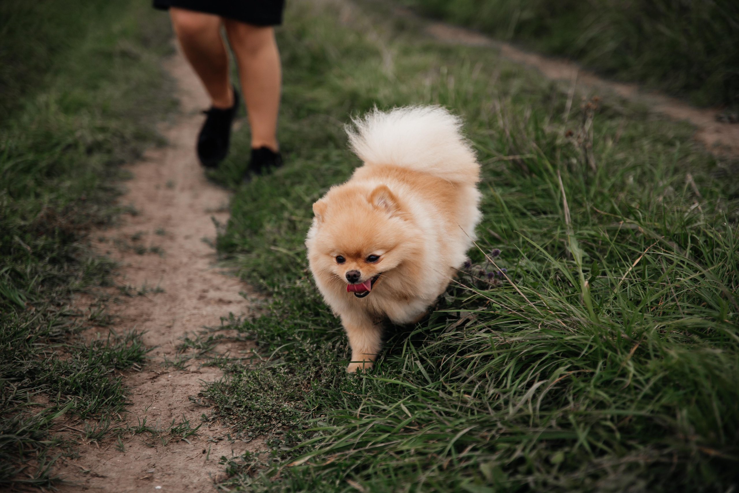 Прогулка по набережной. Фотограф Ступино, Коломна, Москва