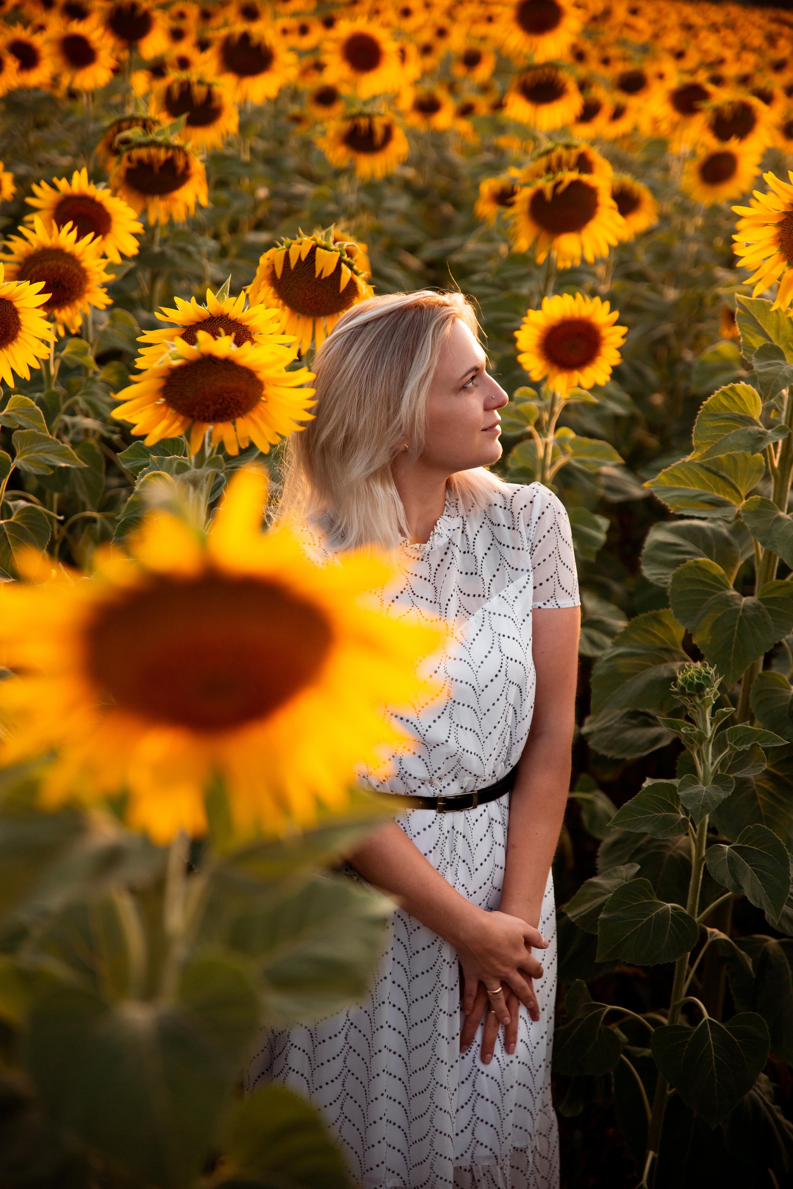 Алена, подсолнухи и закат. Фотограф Ступино, Коломна, Москва