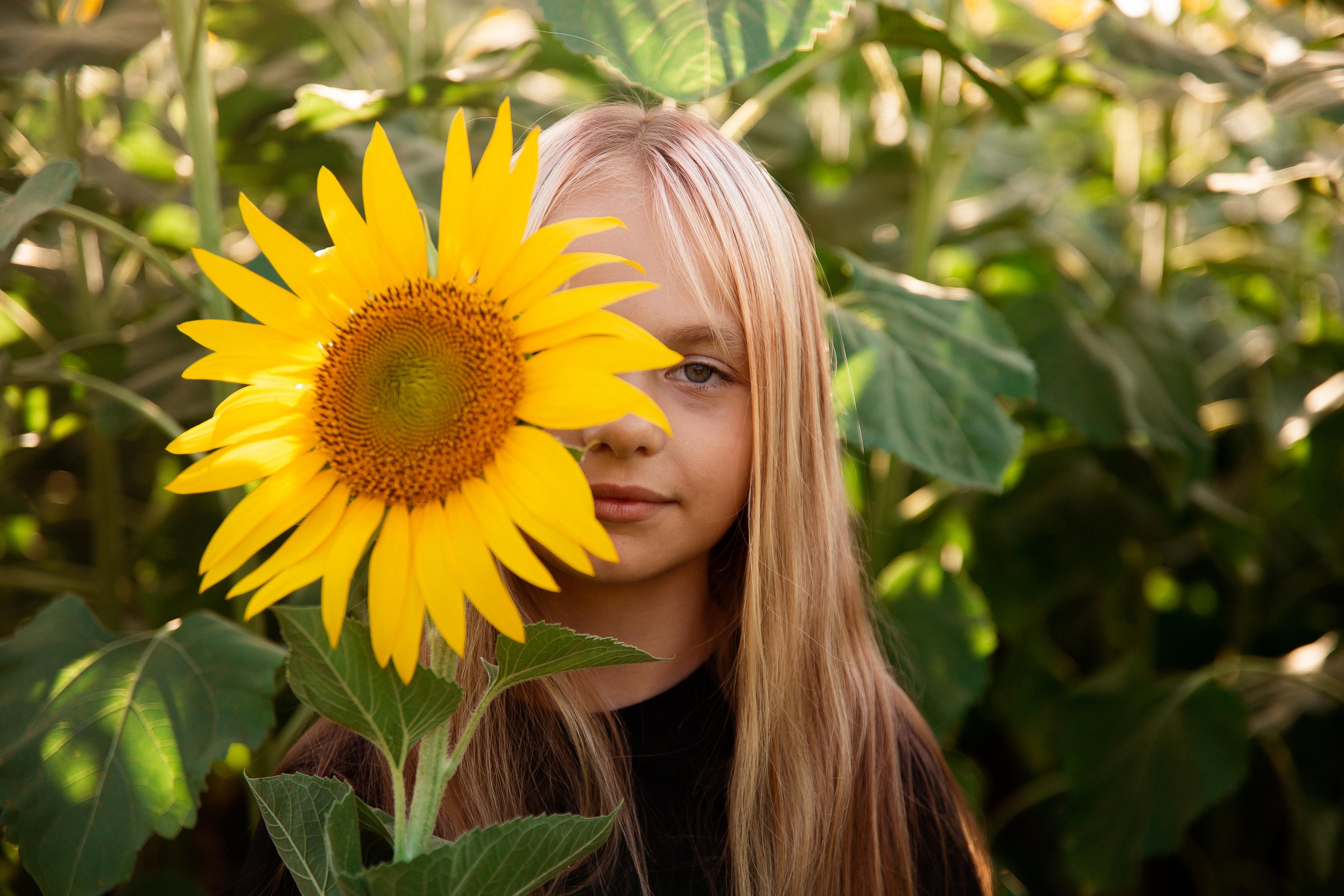 Подсолнухи. Фотограф Ступино, Коломна, Москва