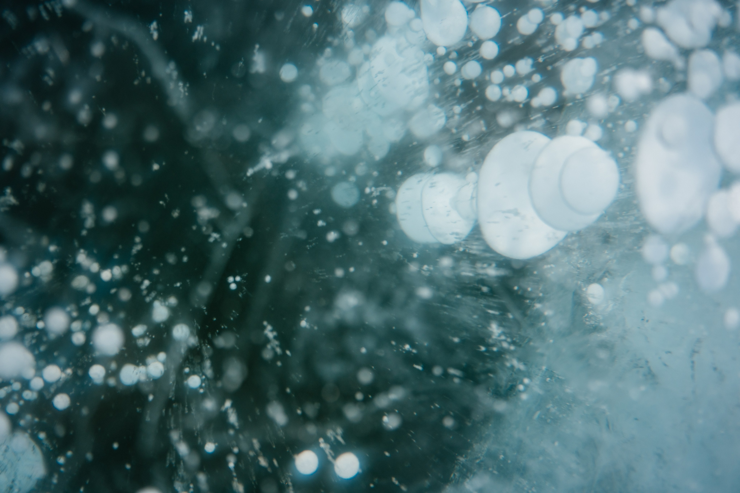 Байкал. Свадебный и семейный фотограф в Красноярске Наталья Дроздова