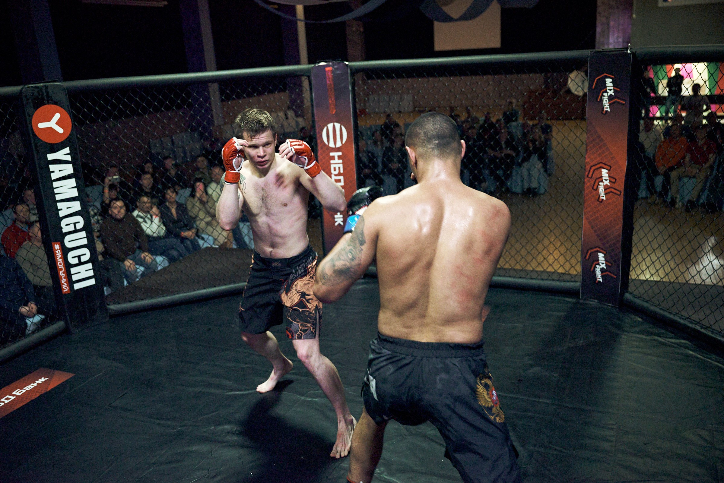 Бои. Маляревич Дмитрий свадебный фотограф