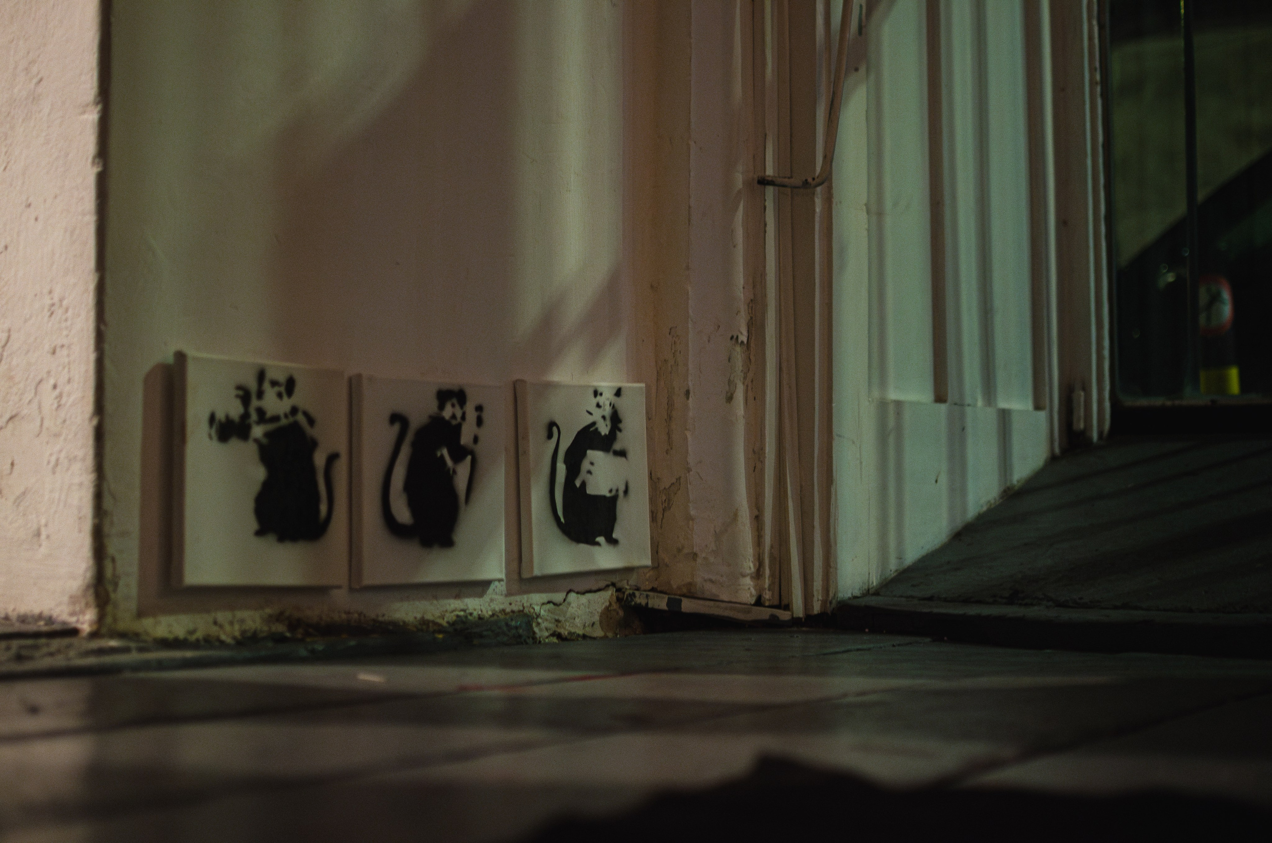 Banksy exhibition Belgrade. Event photographer Alena Iurchenko