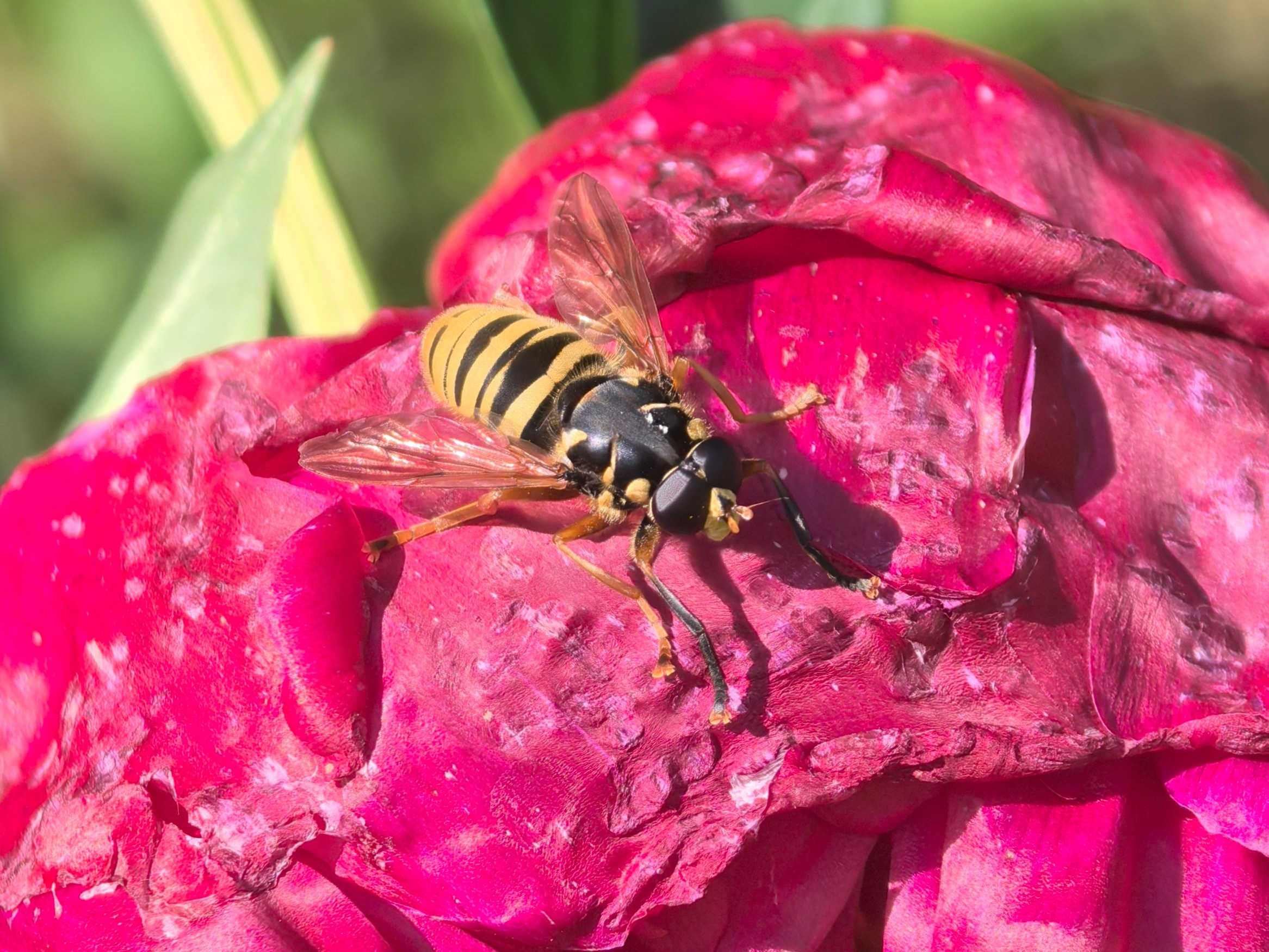 ПочтиМАКРО. Школьные выпускные альбомы в Москве Марина Николаева