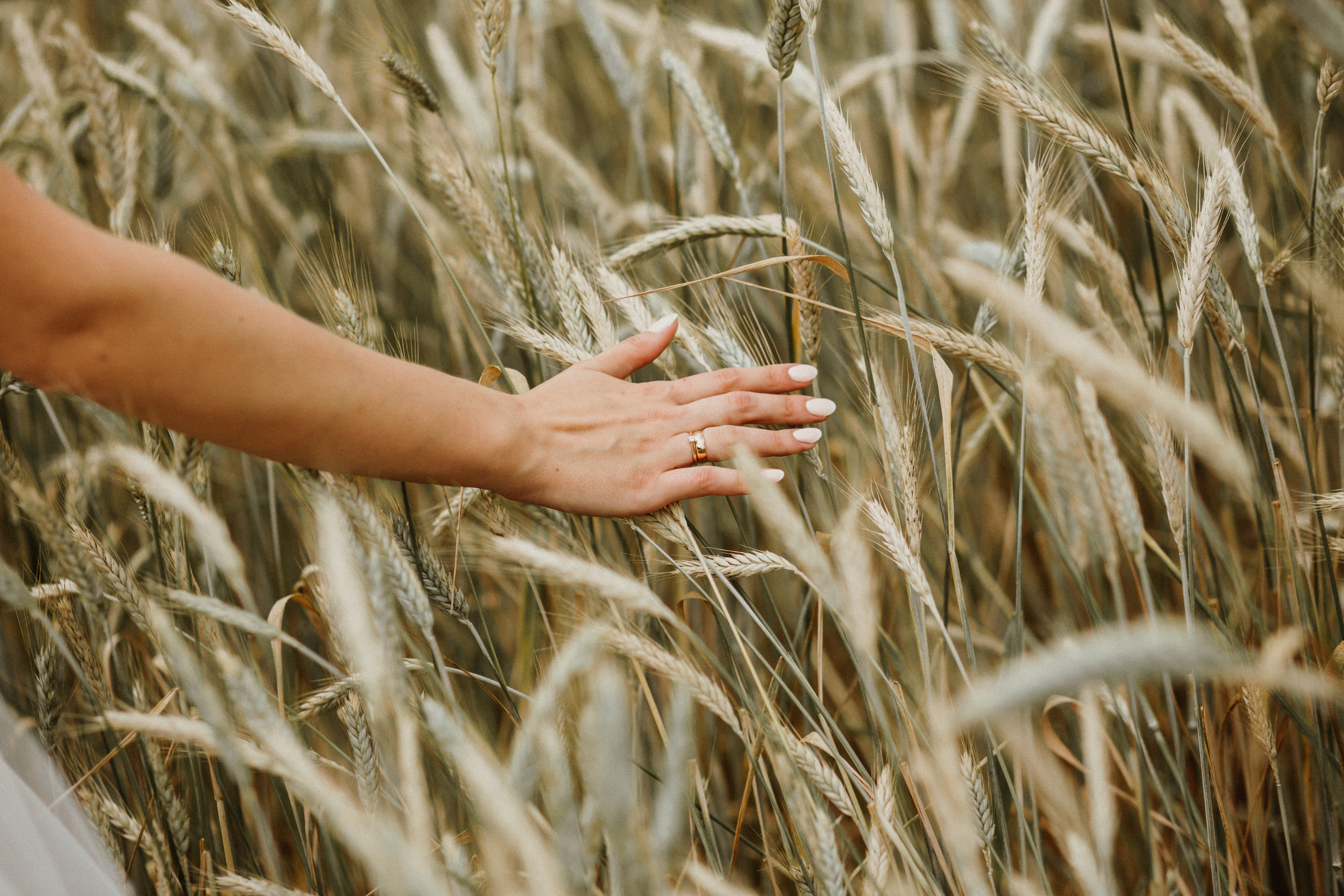 Марк и Светлана. Свадебный фотограф Гродно Минск Destination wedding photographer