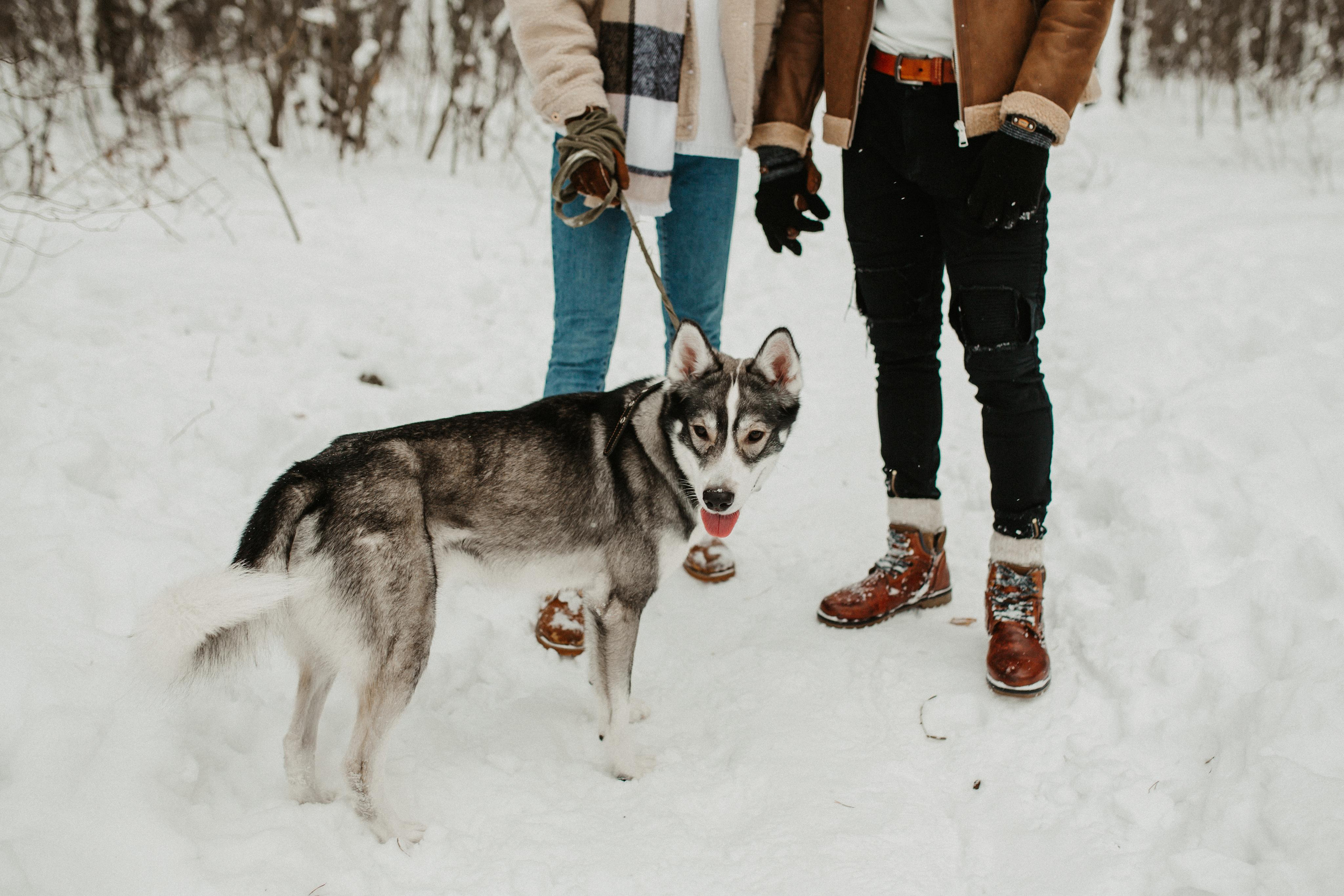 Гражина и Стенли. Свадебный фотограф Гродно Минск Destination wedding photographer