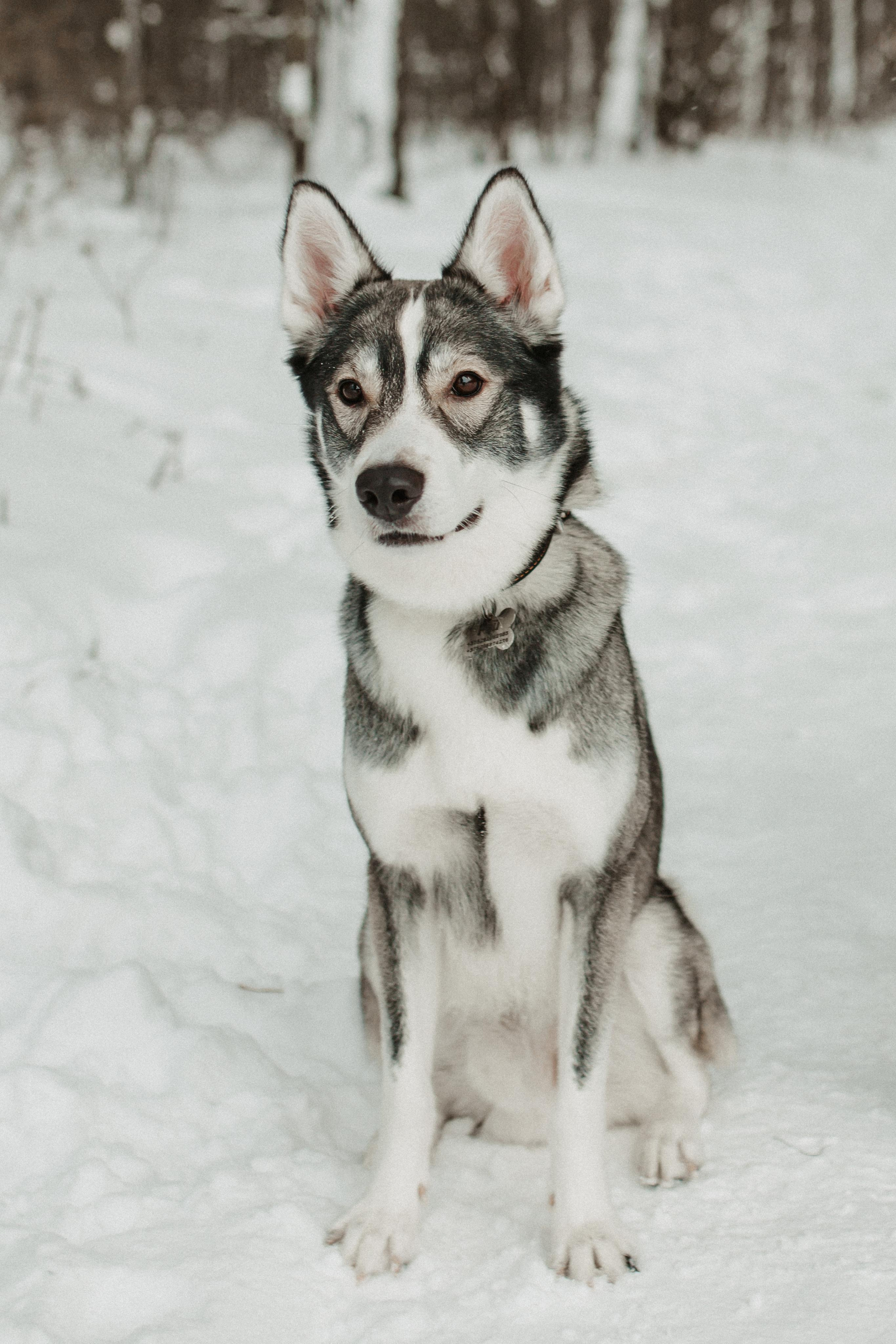 Гражина и Стенли. Свадебный фотограф Гродно Минск Destination wedding photographer