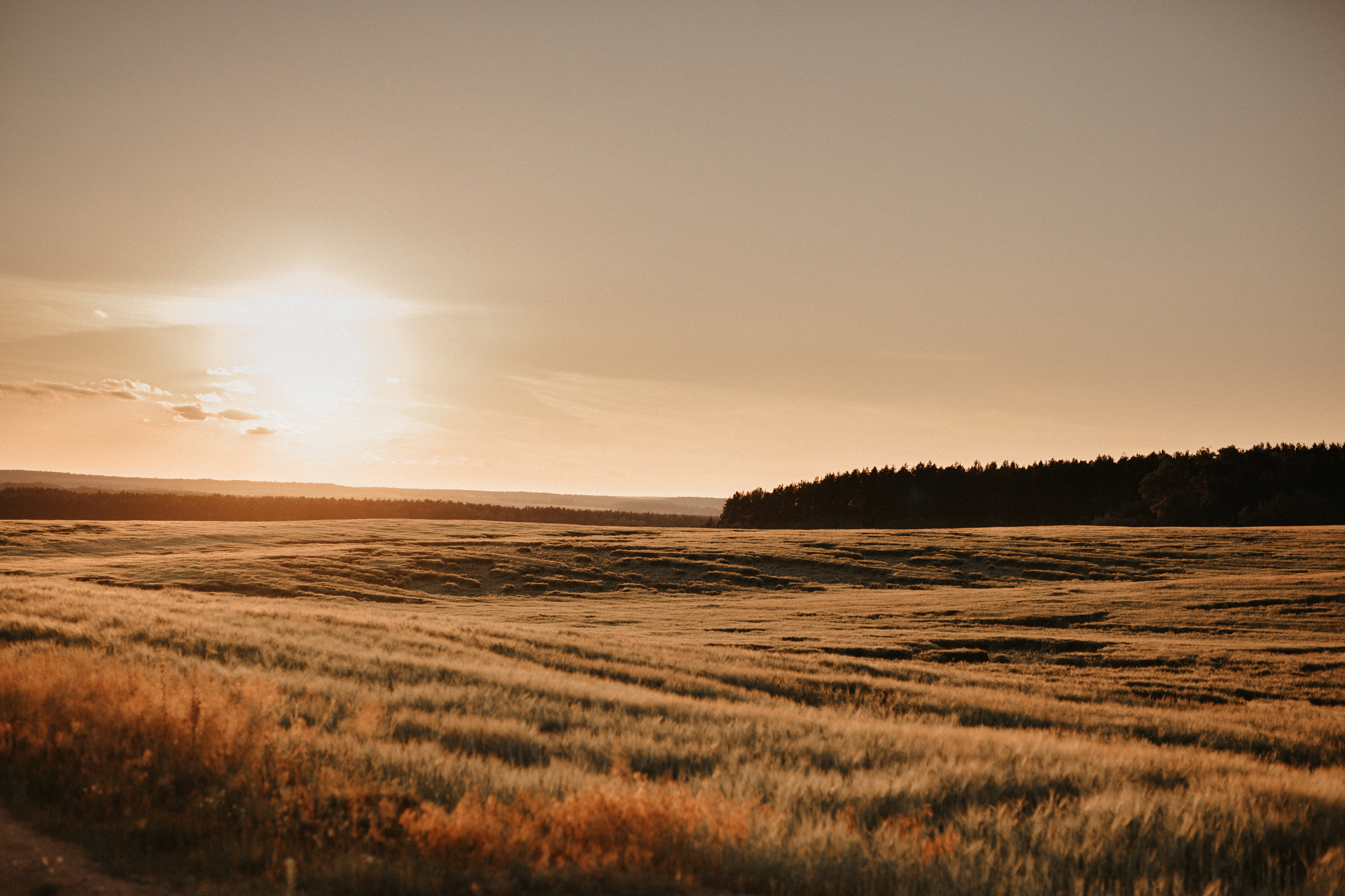 Семья Юрия и Анжелики. Свадебный фотограф Гродно Минск Destination wedding photographer