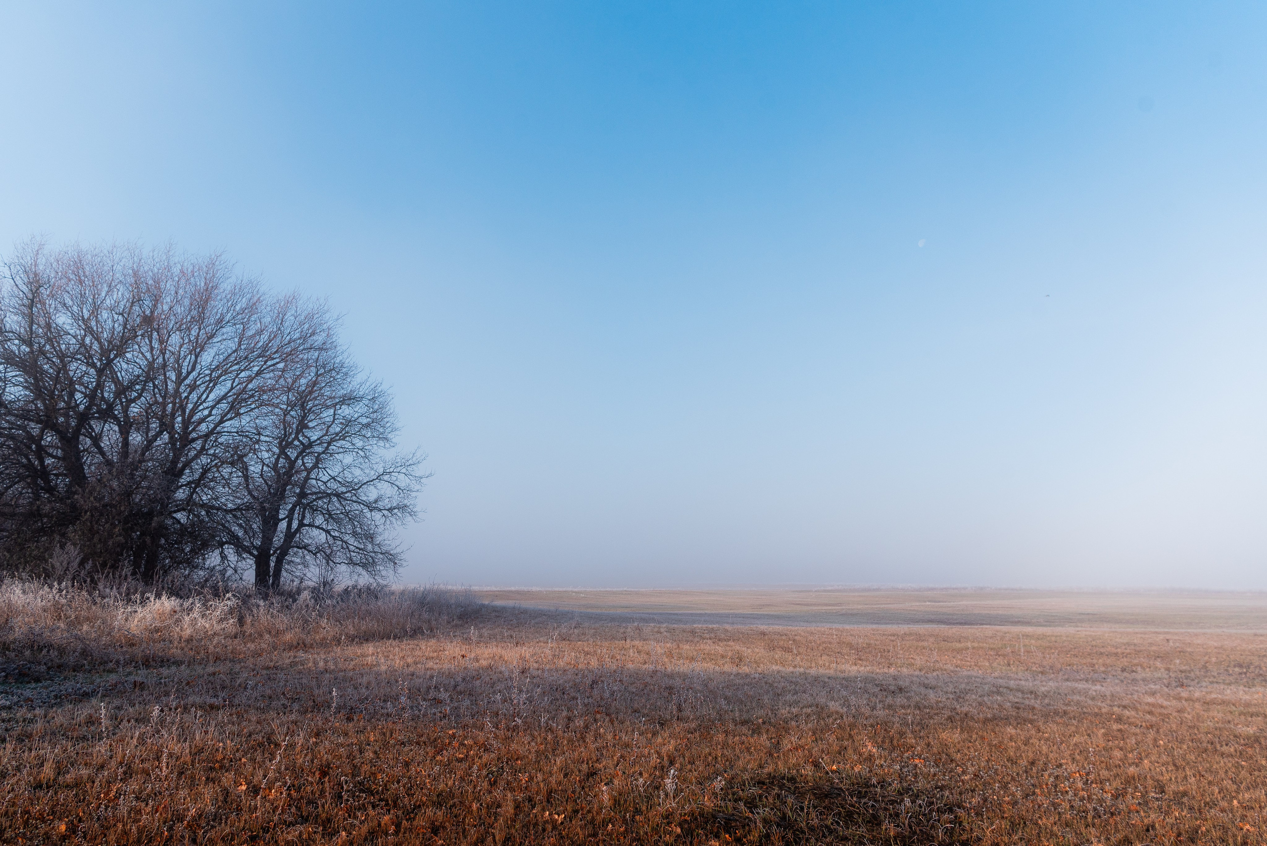 Фотографии утреннего тумана под Волжским. Фотограф в Волгограде и Волжском Александр Горбань
