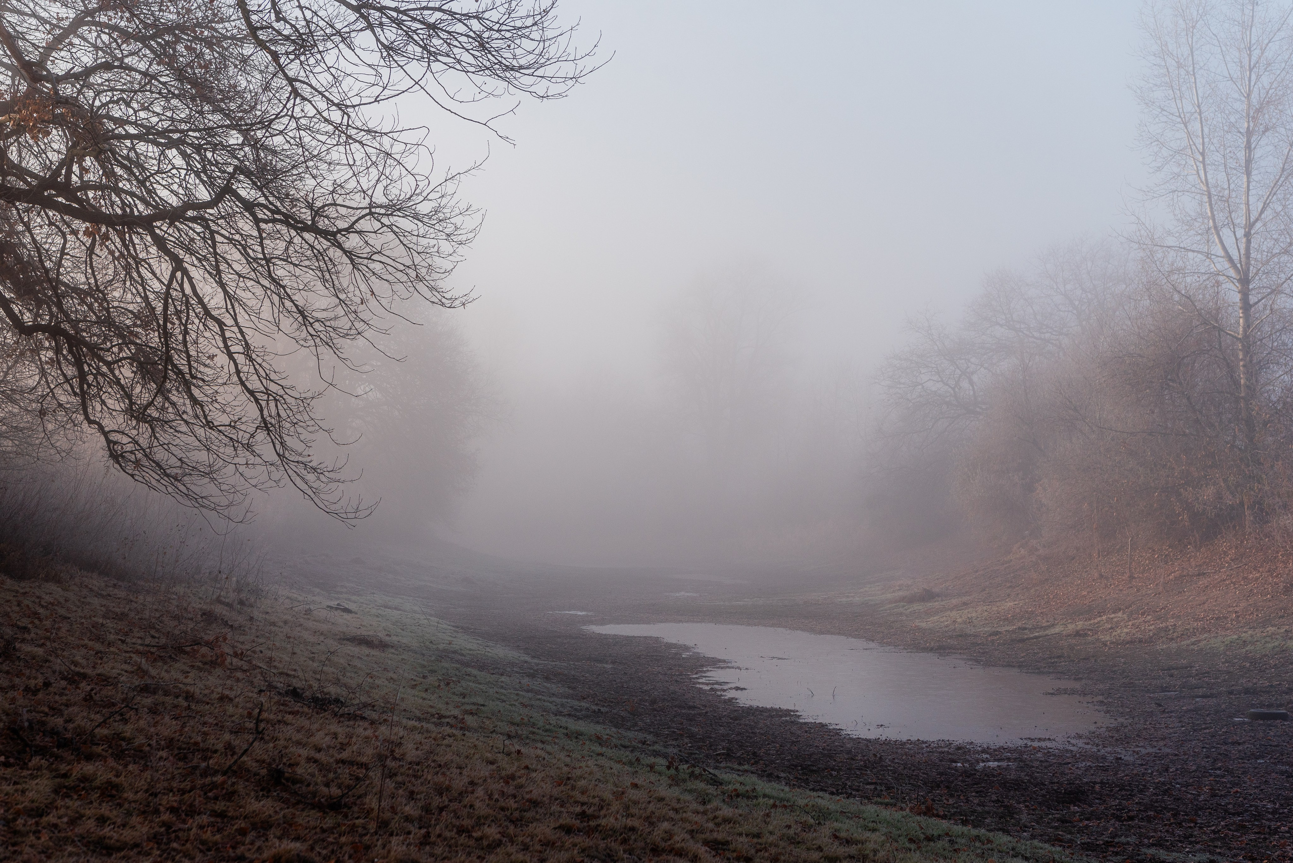 Фотографии утреннего тумана под Волжским. Фотограф в Волгограде и Волжском Александр Горбань