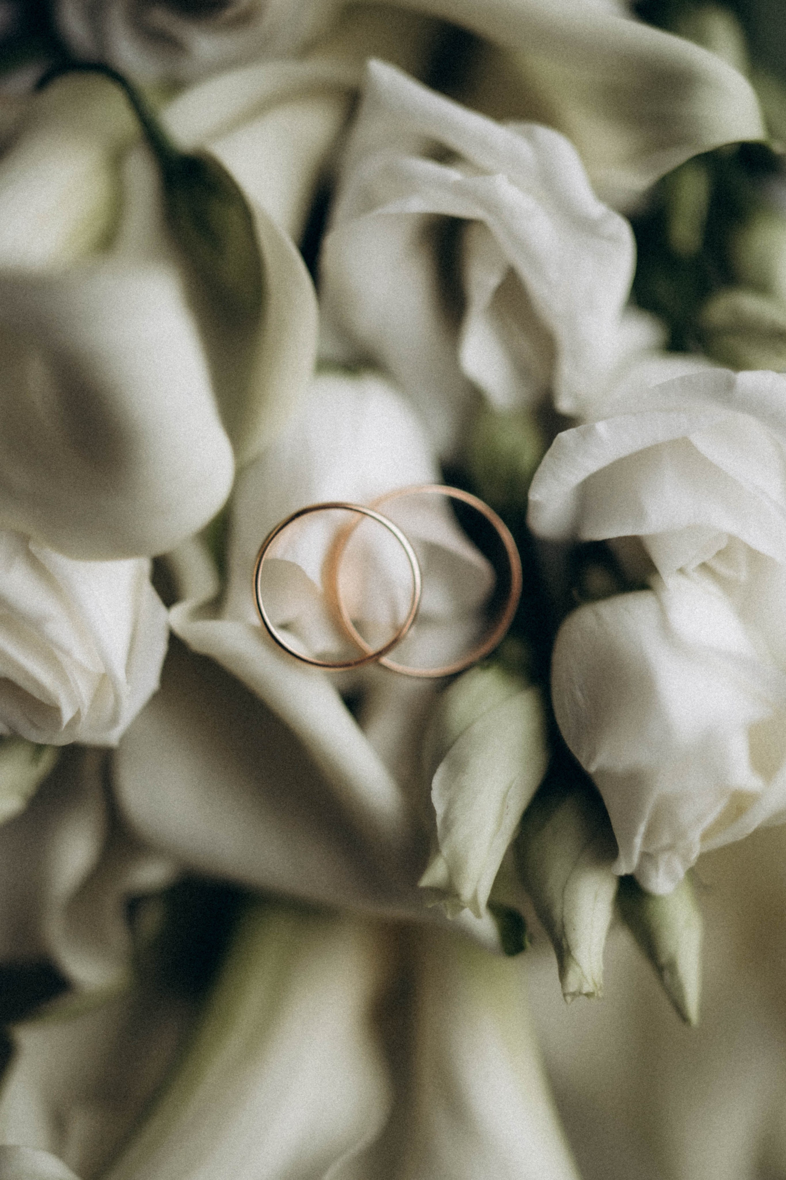 Дмитрий & Александра. Свадебный и семейный фотограф в Перми Дарья Алекс