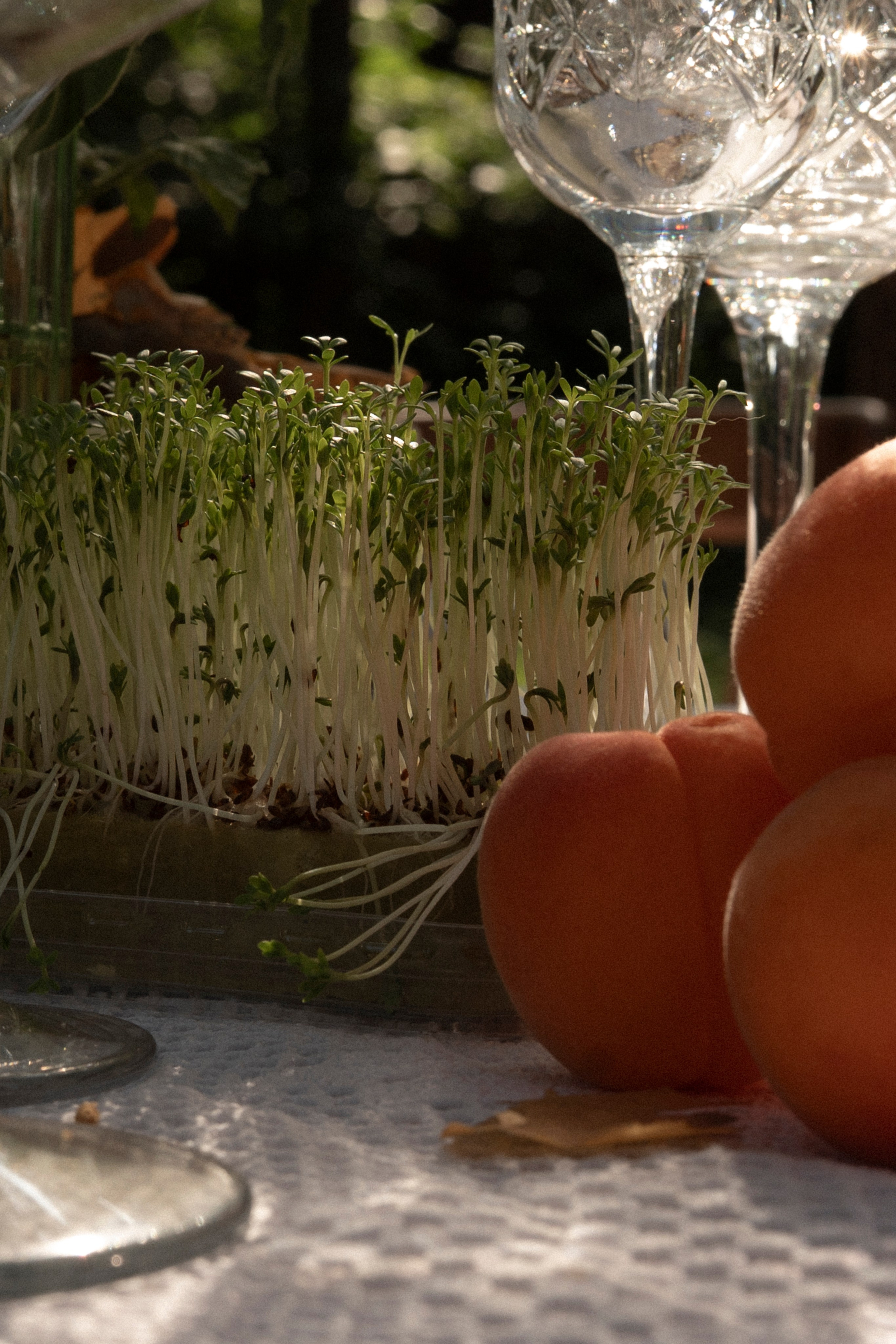 Наше лето. Фотограф Евгения Пронькина