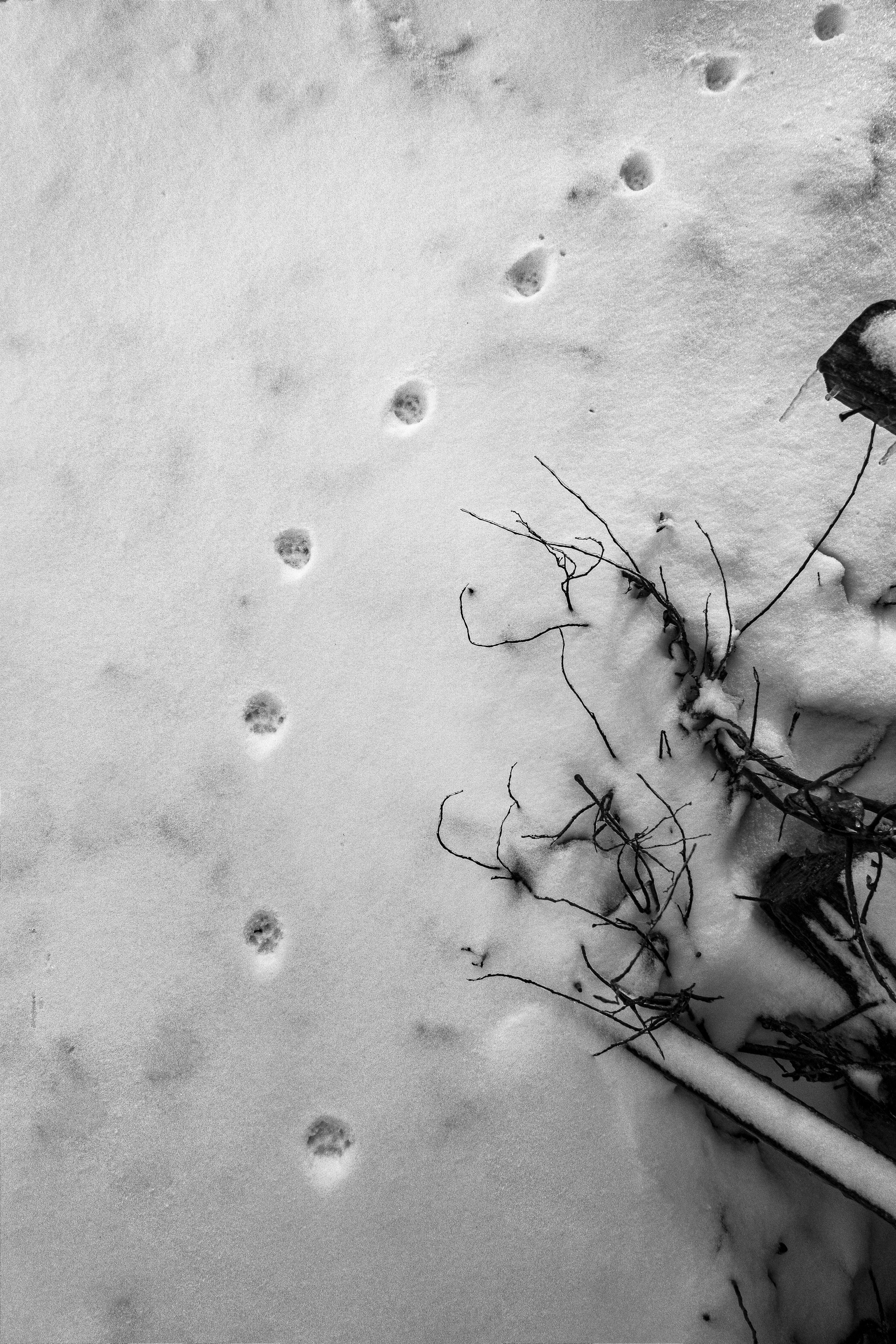 Ферма. Фотограф Антон Денисенко: Портрет, Документалистика, Пейзаж. Москва