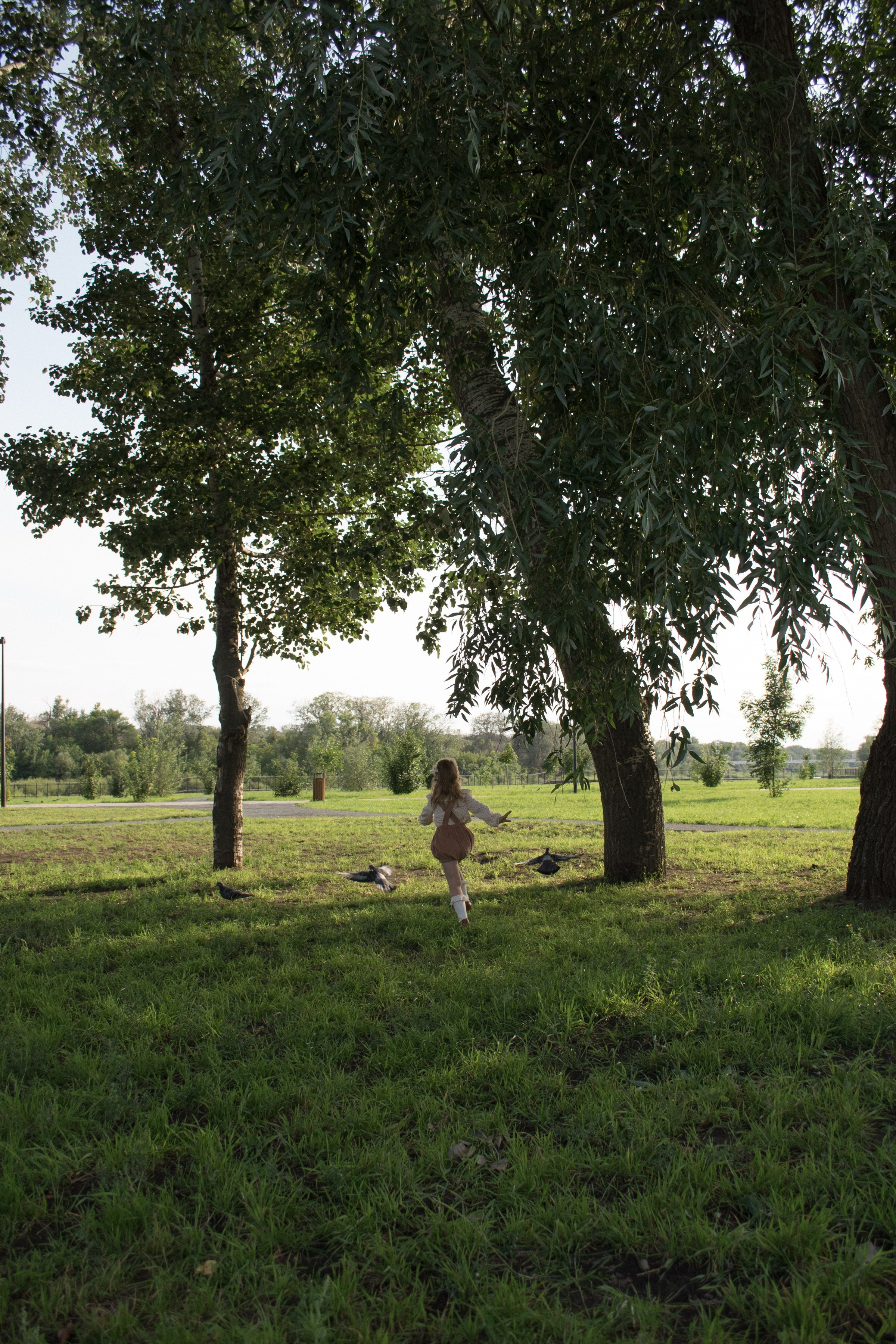 Пикник с Алисой