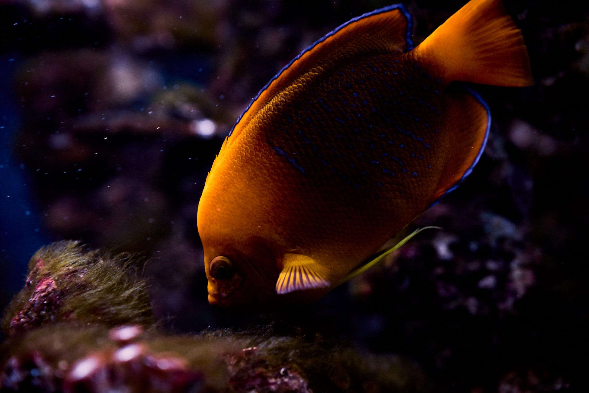 ZOO. ФОТОГРАФ ЕКАТЕРИНБУРГ