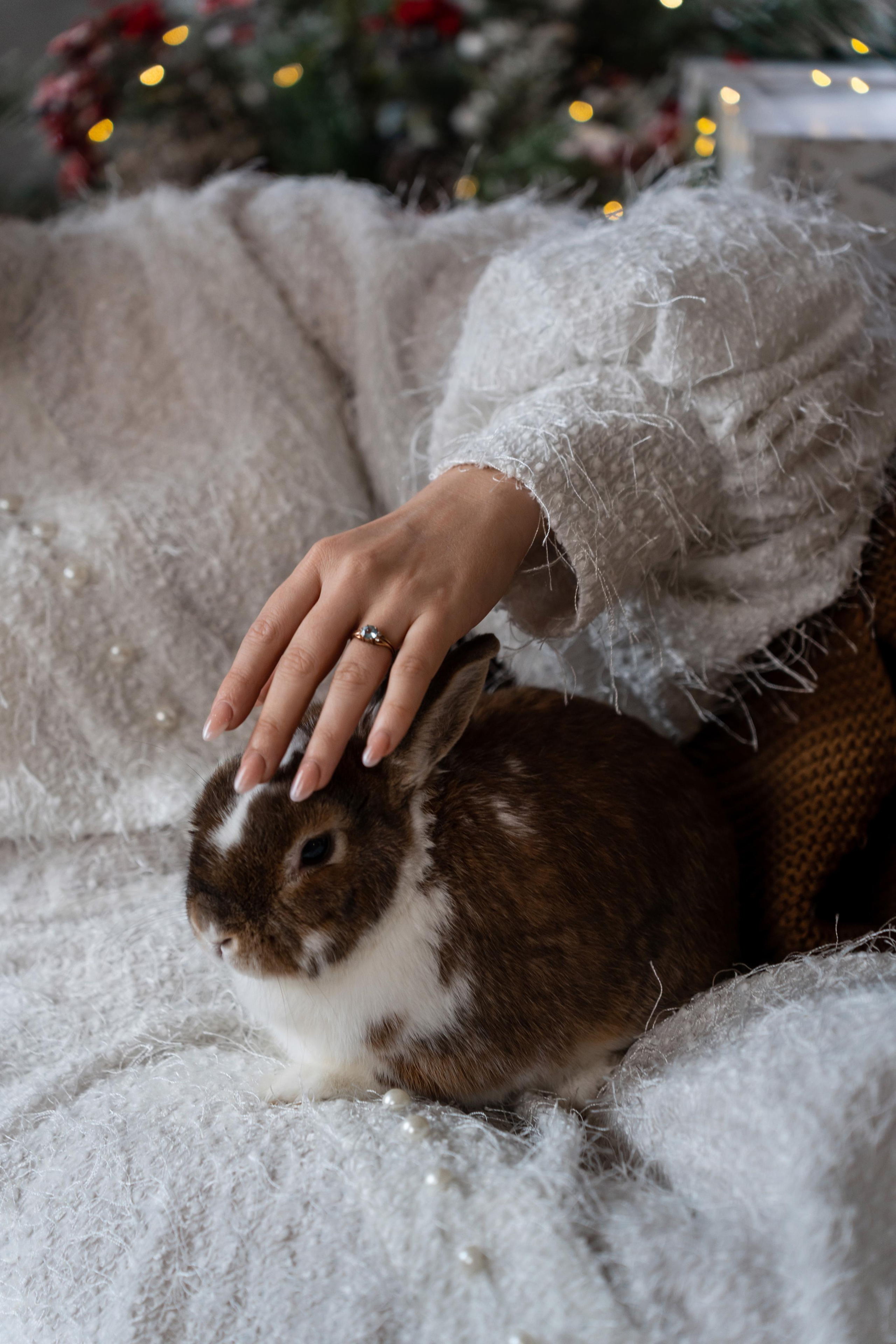 Новогодняя фотосессия в студии Леонардо