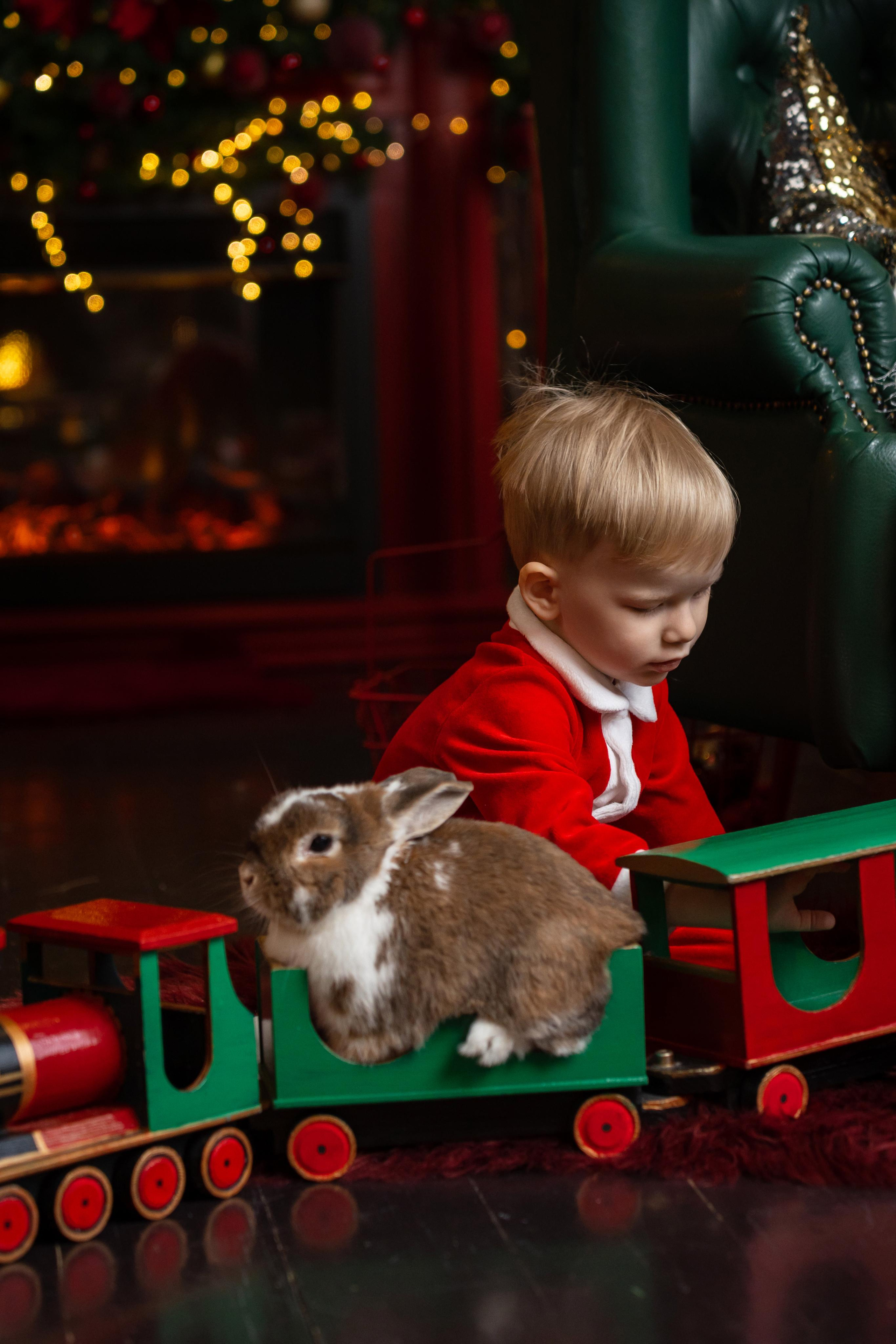 Новогодняя фотосессия в студии Леонардо