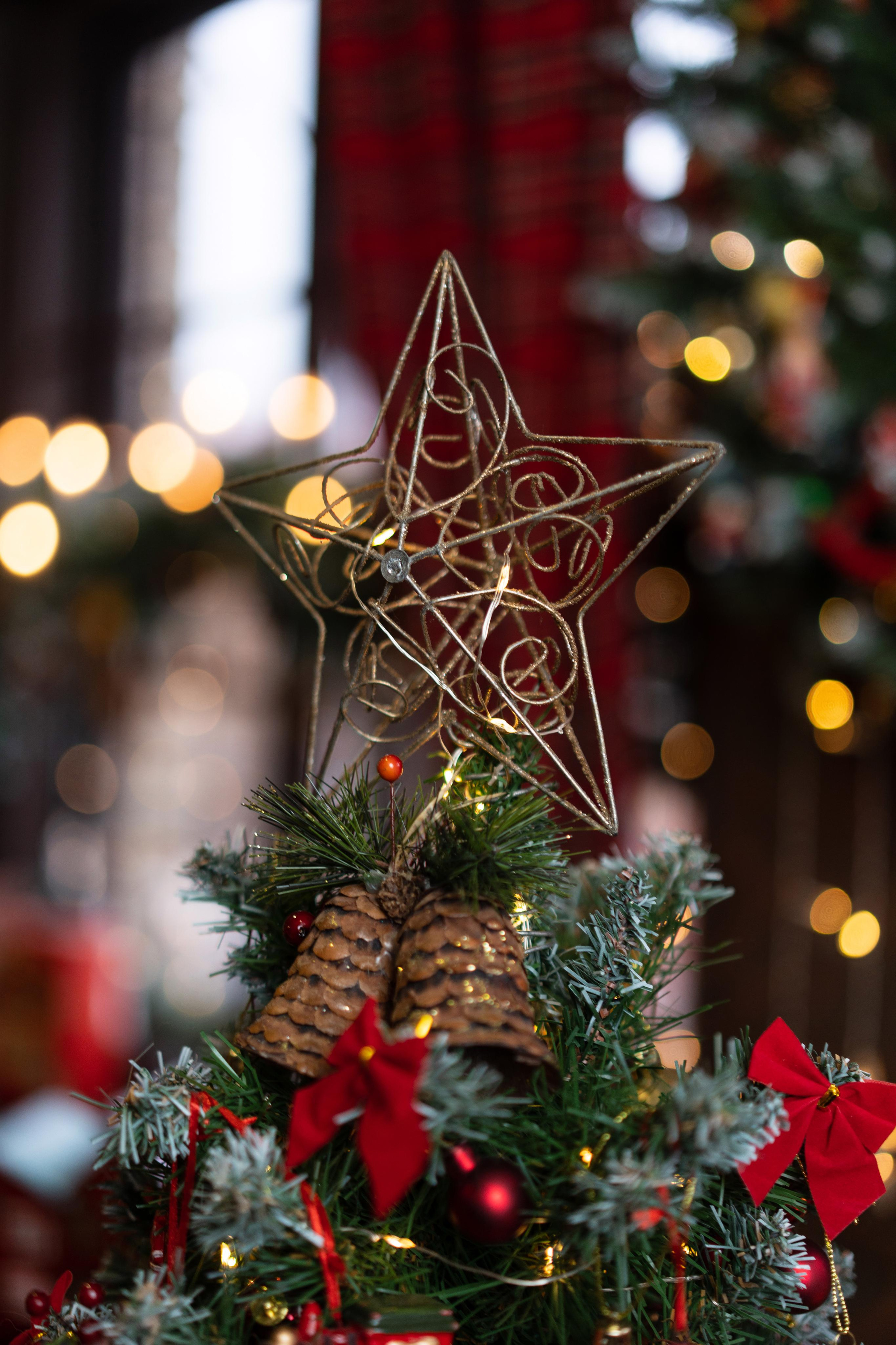 Новогодняя фотосессия в студии Леонардо