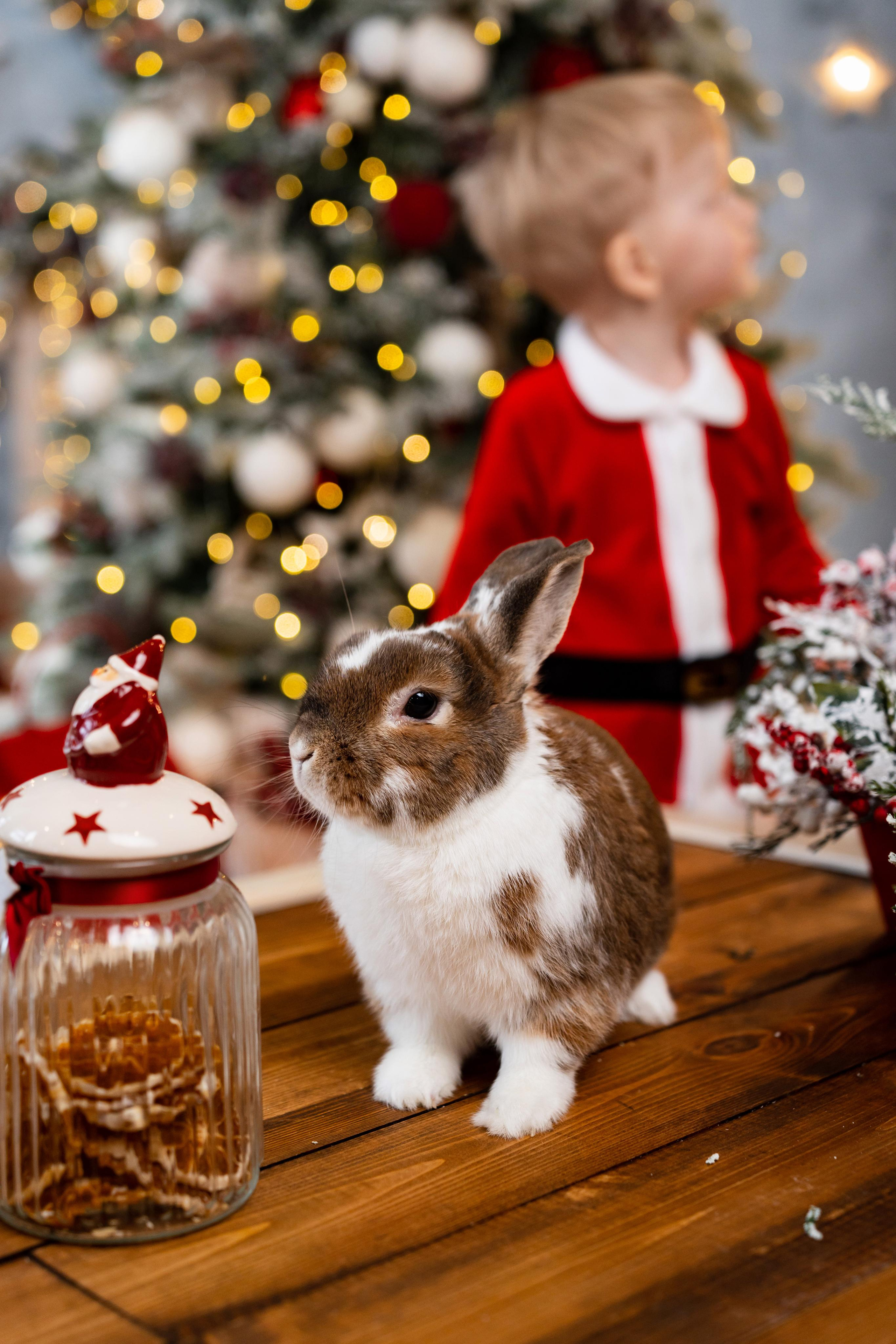 Новогодняя фотосессия в студии Леонардо