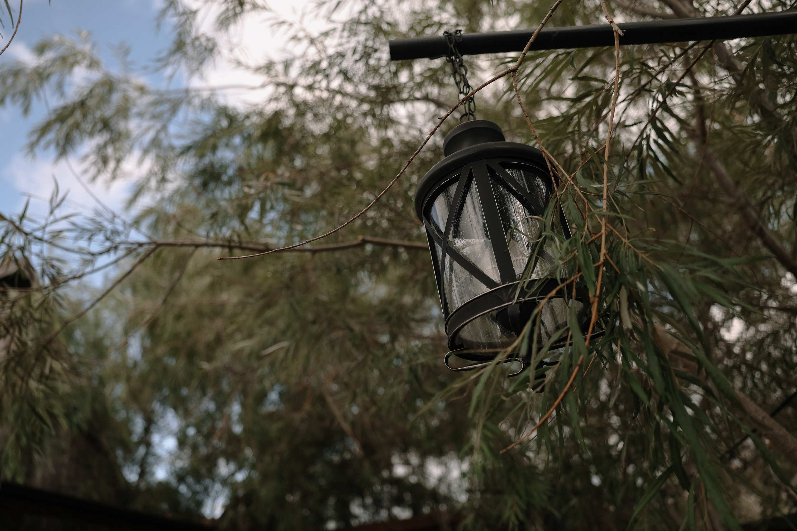 Пустырник…лимончелло…любовь и 4 по алгебре. Свадебный и семейный Фотограф Денис Кошель