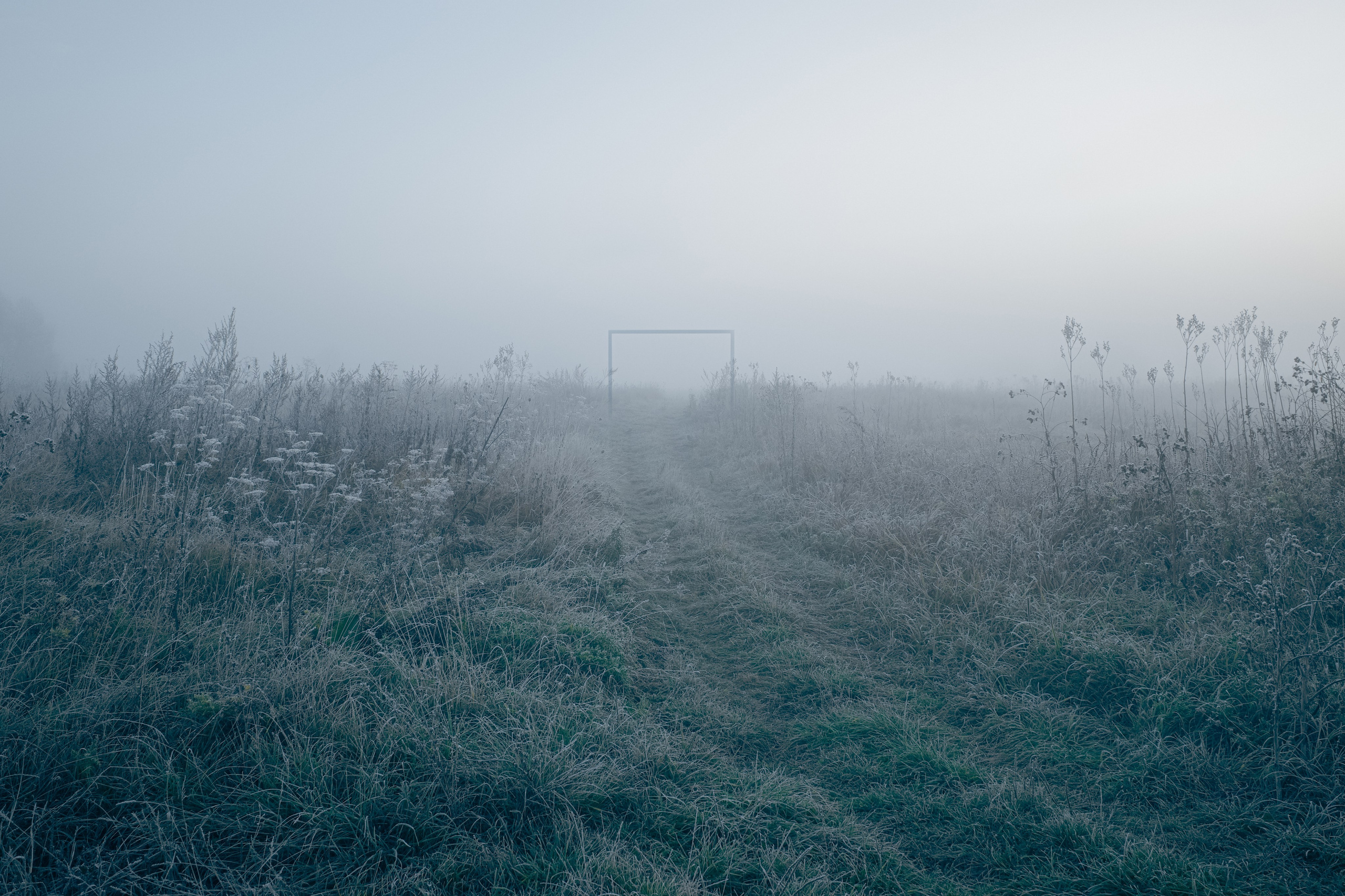 О границах реального. Междисциплинарный художник Екатерина Старовойтова