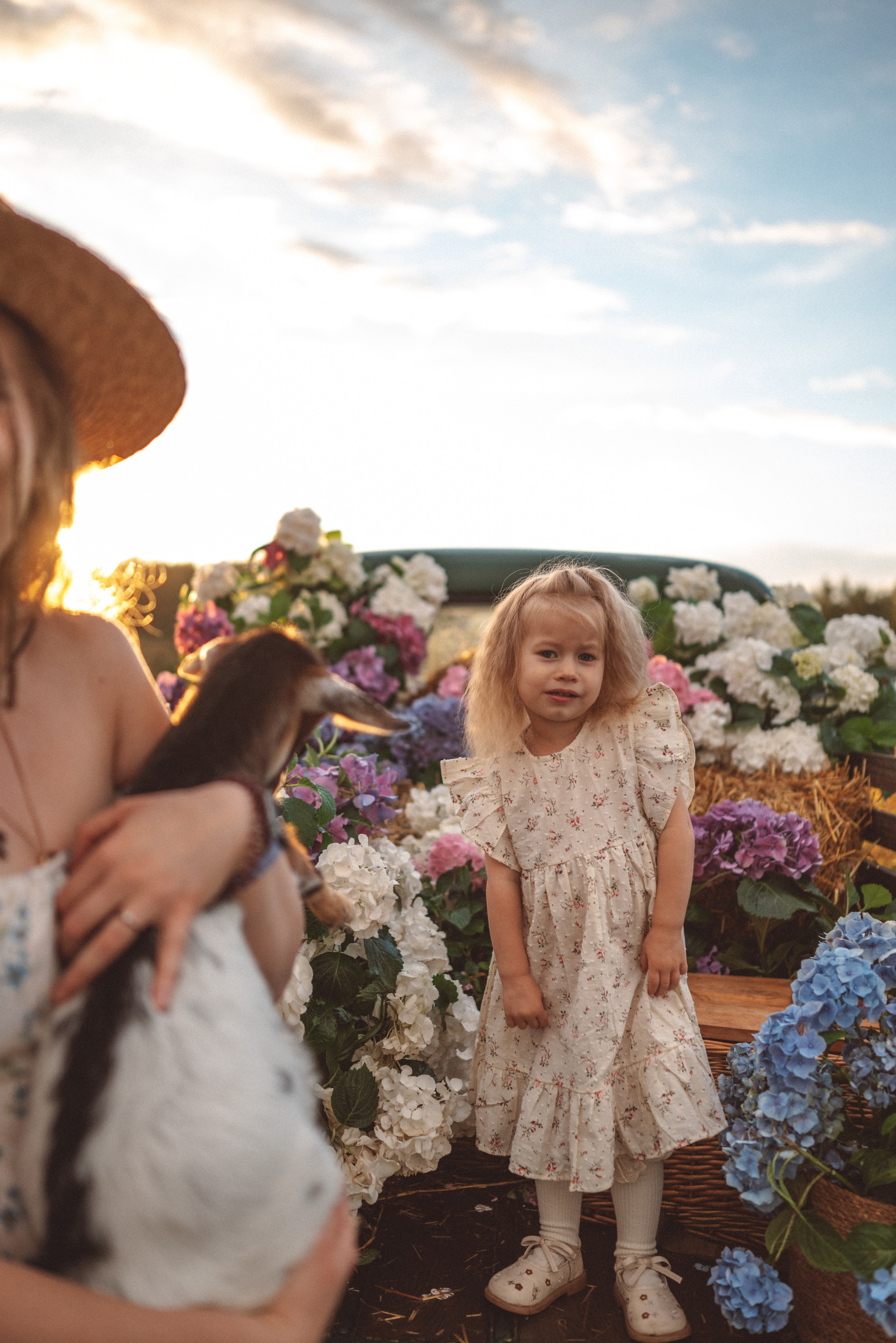 Гортензии. Семейный и детский фотограф в Москве Князева Диана