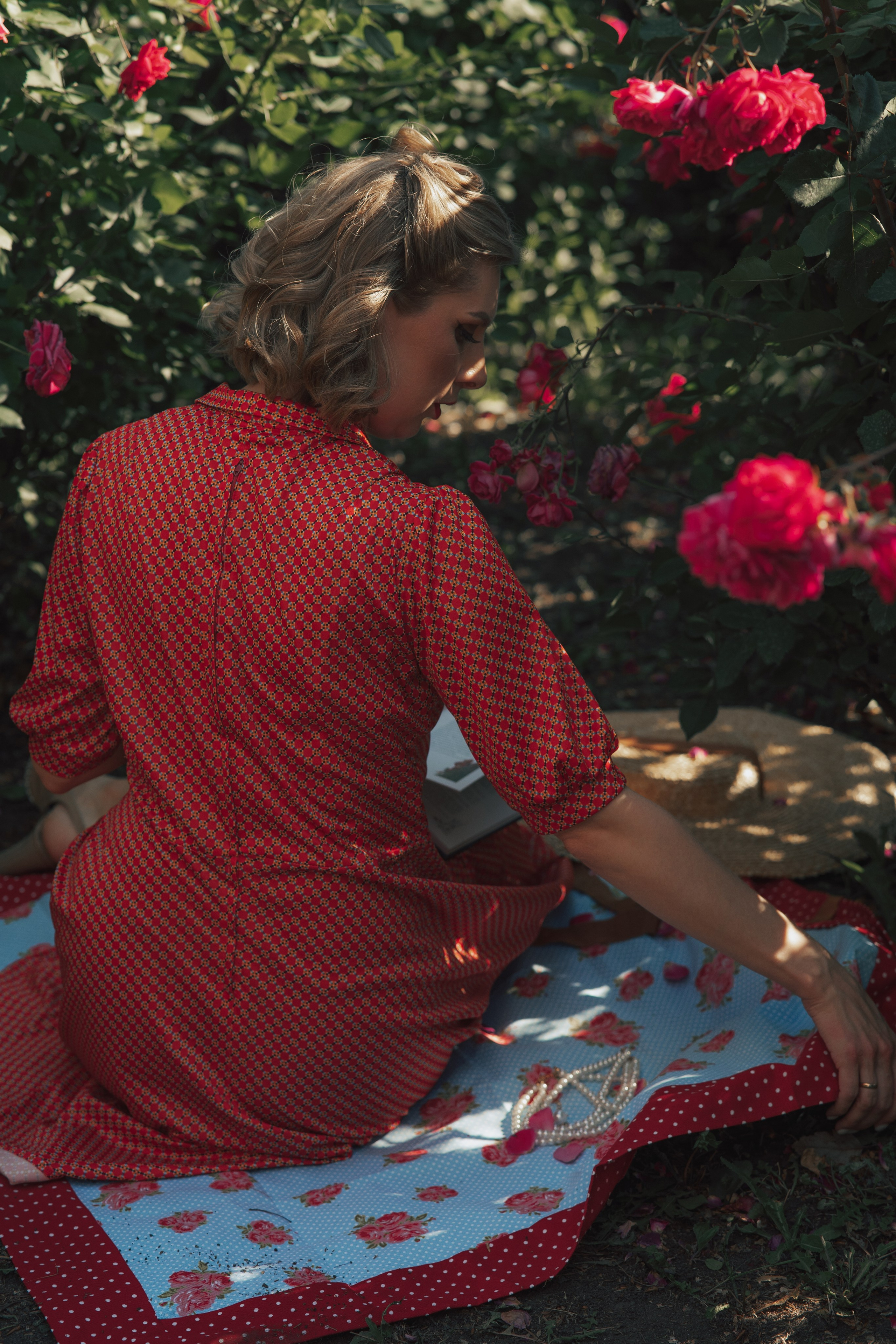 Розы. Фотограф Мария Зайчик