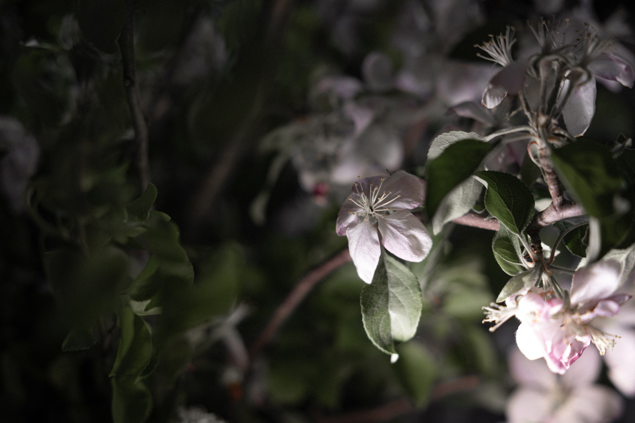 Egor & Maria. Вебер Юлия фотограф Ростов-на-Дону