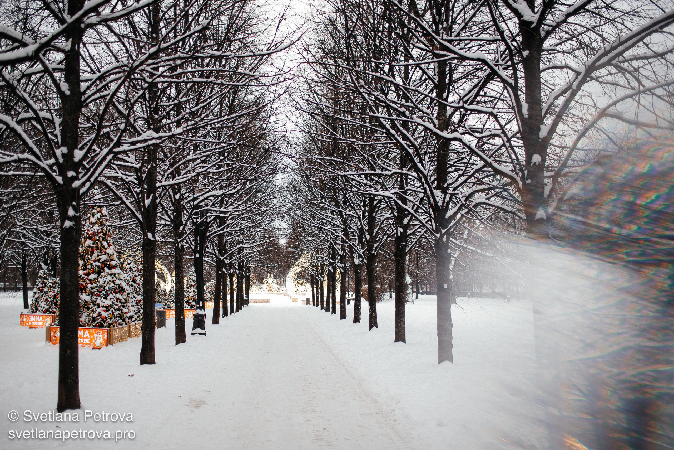 С Новым 2026 годом!. Фотограф Светлана Петрова