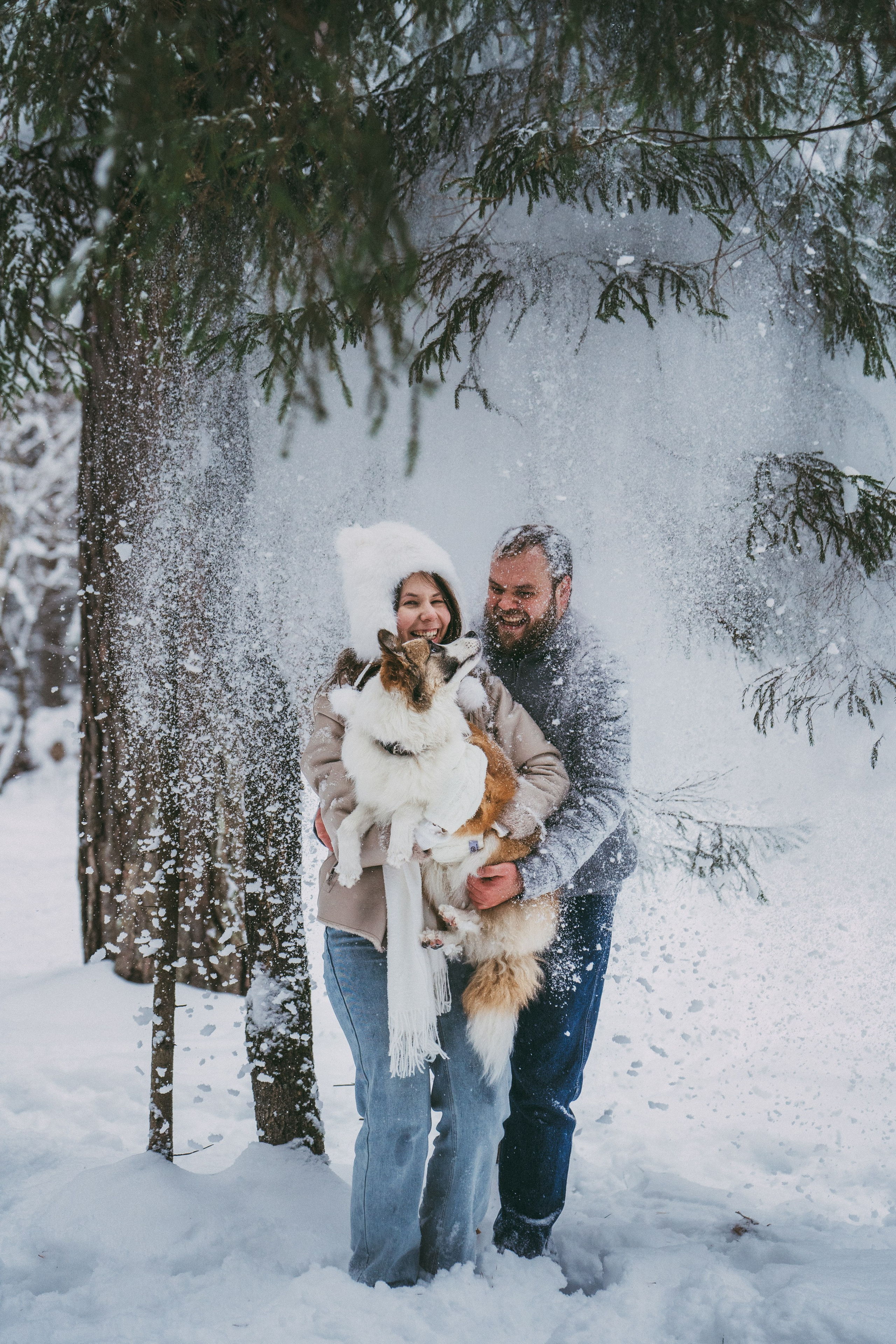 Катя, Анатолий и Елай. Фотограф анималист в Москве и Санкт-Петербурге Свиридова Анна