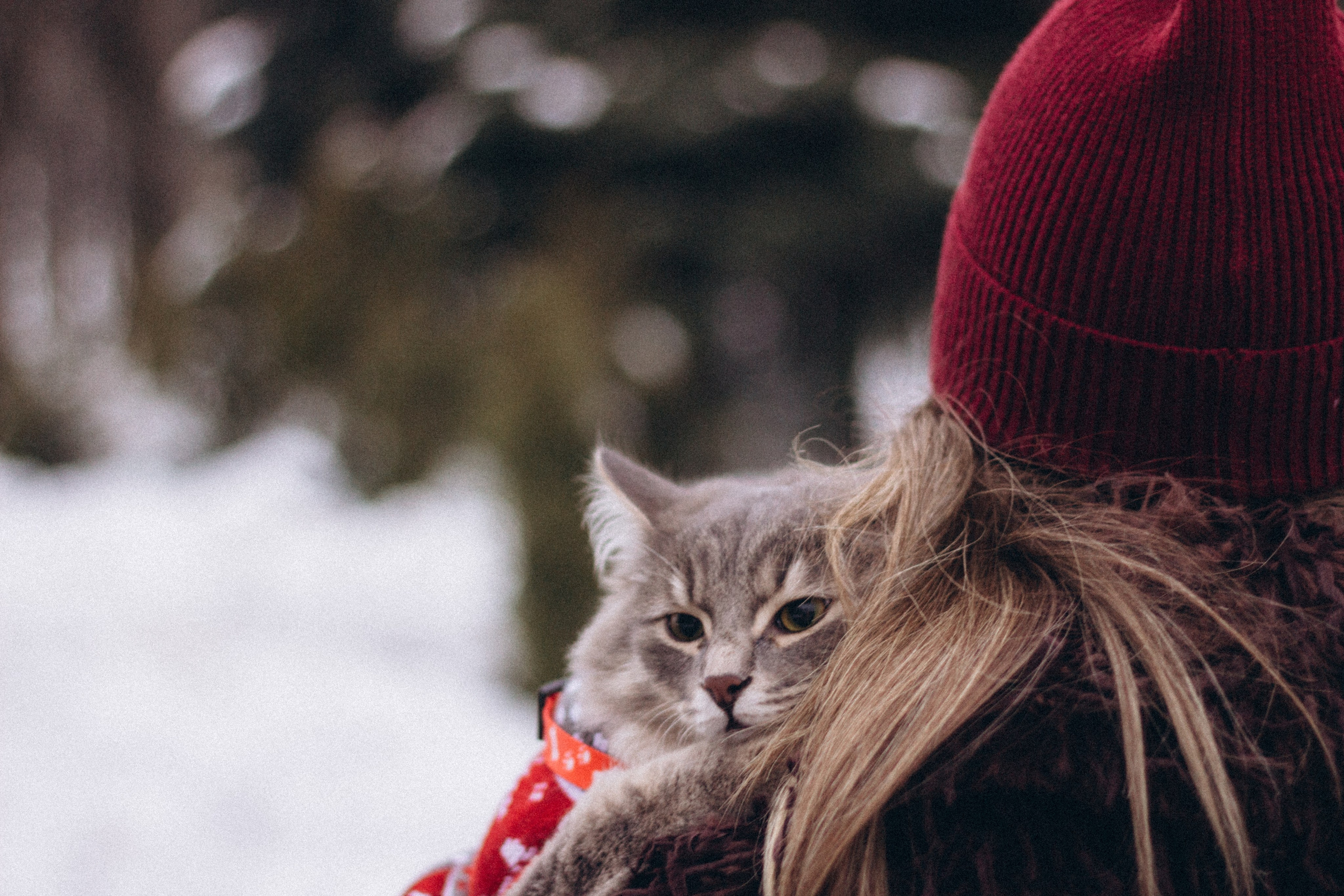 Пушистая любовь. Семейный фотограф в Нижнем Новгороде