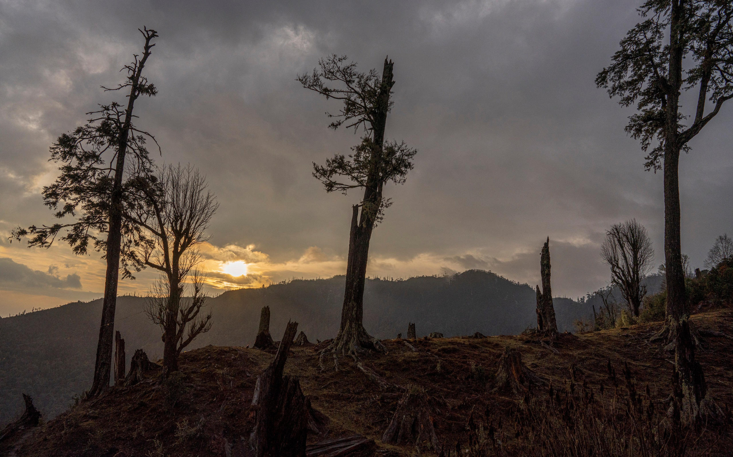 India travel. Фотограф Сергей Танков