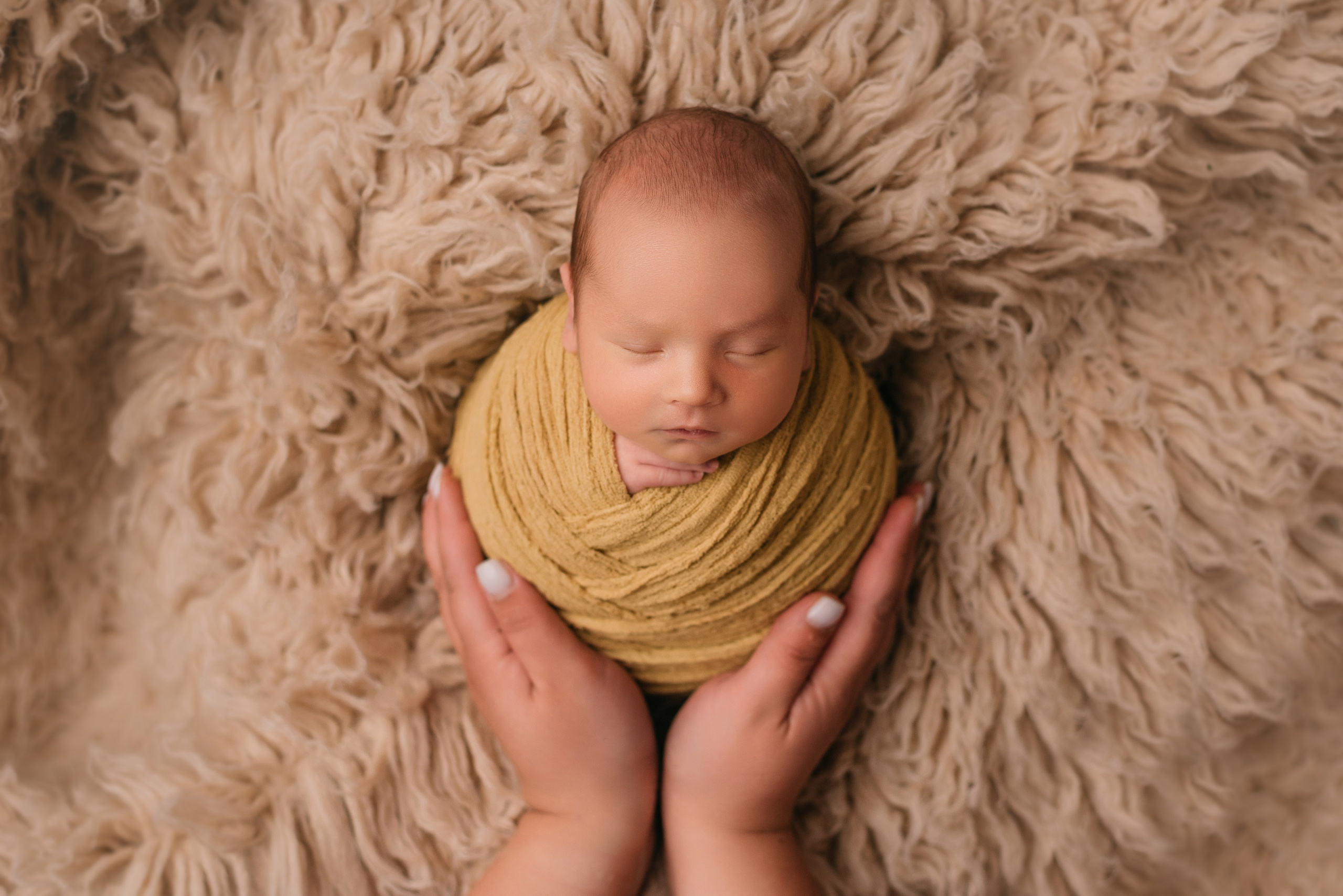 Лев. Фотограф новорожденных Белгород